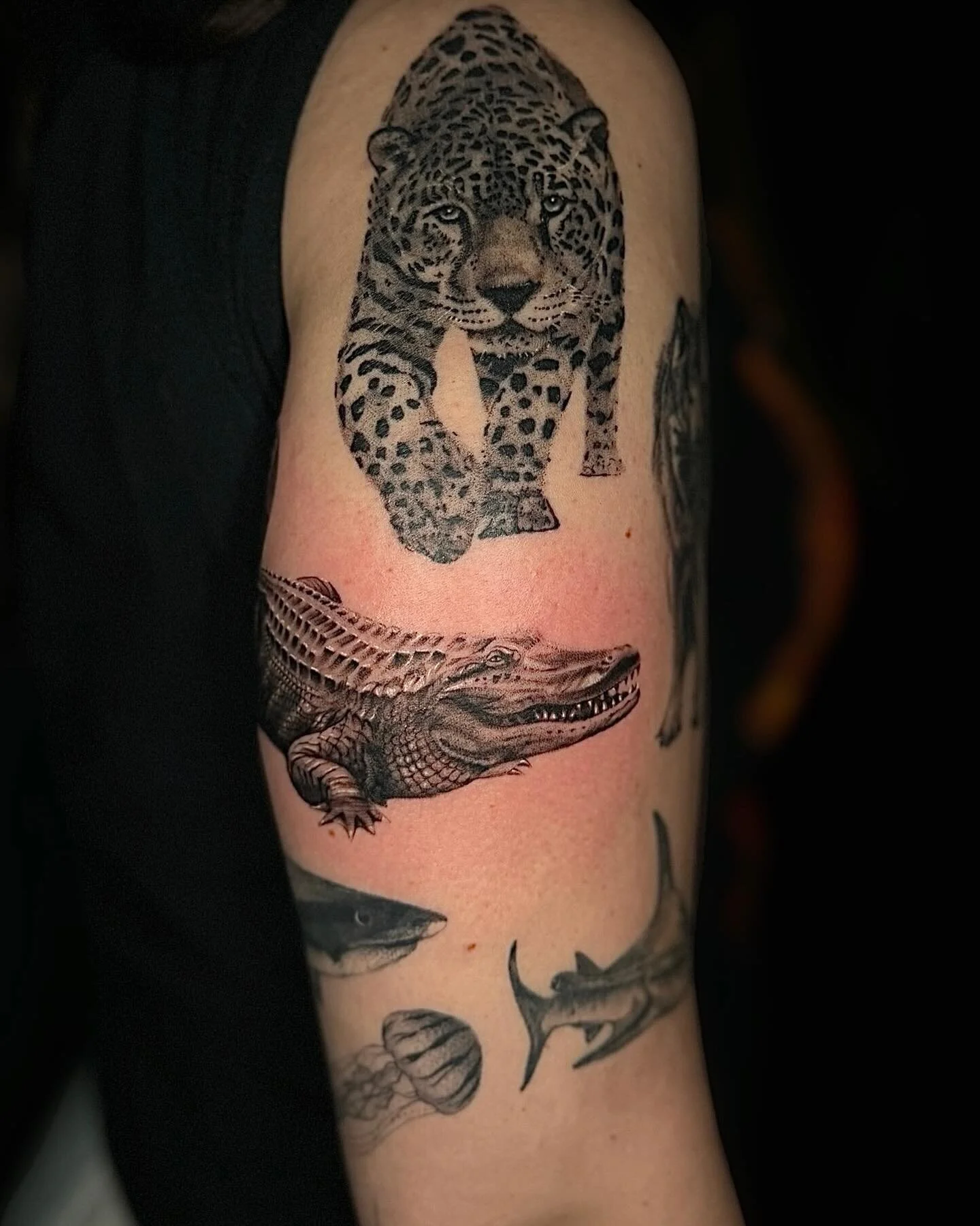 Loving @erinyourlungsss half sleeve! Had so much fun doing this for you! DM or book directly via website. Link in bio.