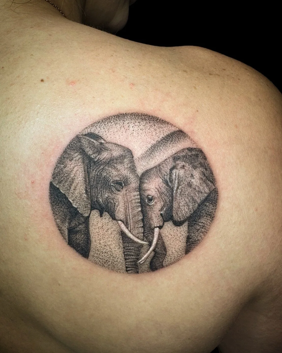 I&rsquo;m very passionate when it comes to animals and working with details. Please DM me if you&rsquo;d like to work with me on creating something special for yourself.