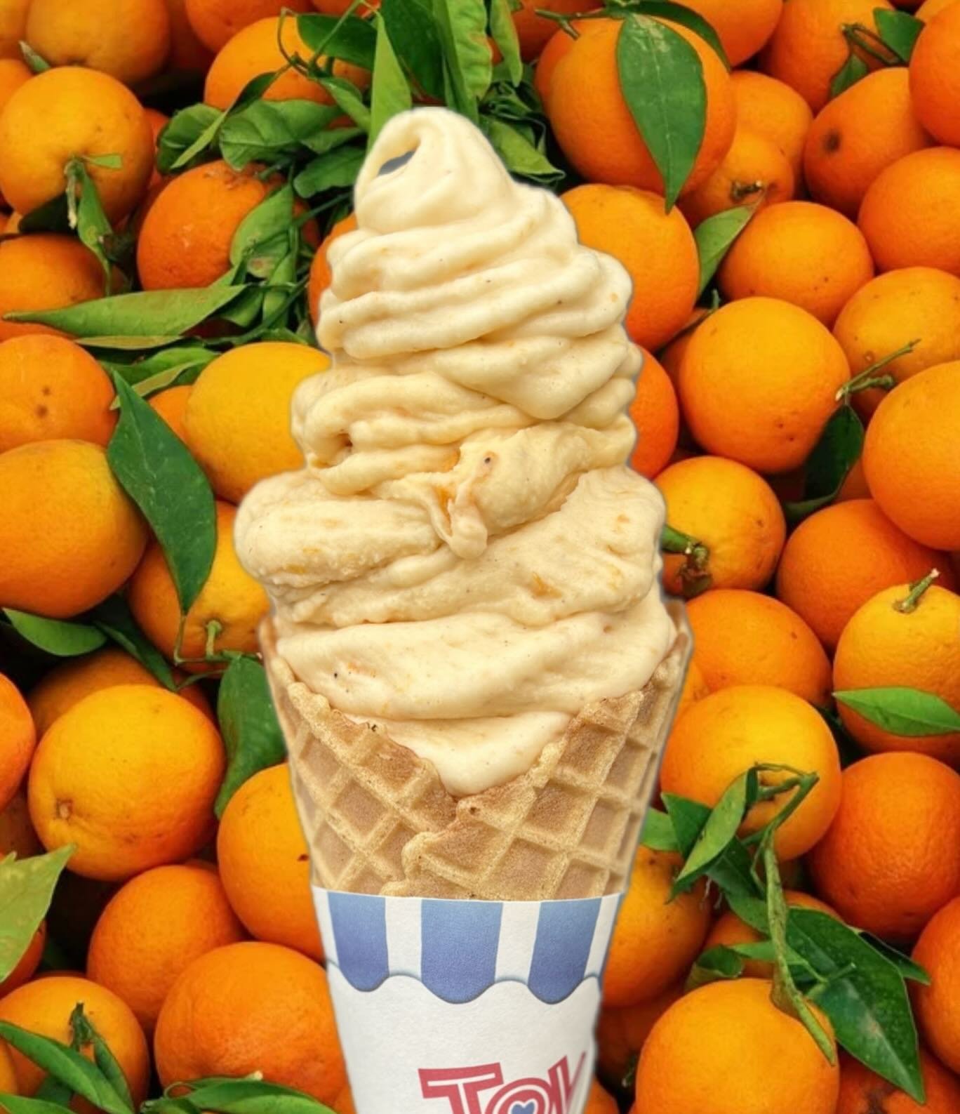 Our current seasonal flavor is Orange 🍊 

We chopped up whole mandarin oranges, tossed them with a bit of brown sugar and cloves, then froze them to make an orange ice cream that we&rsquo;re crushing on.

#NZxNW #realfruiticecream #orangeicecream #o