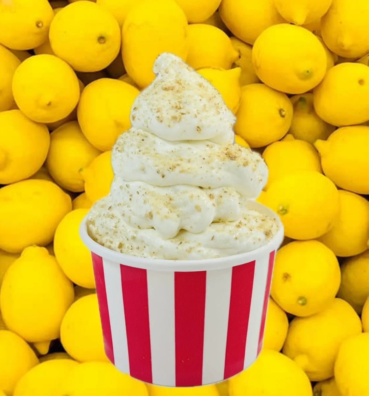 Our newest seasonal flavor is lemon 🍋 It&rsquo;s zesty and sweet and tart - and when you top it with whipped cream and graham cracker crumbs, it tastes just like a lemon chiffon pie. 

Available for a limited time. 

#lemonicecream #NZxNW #realfruit