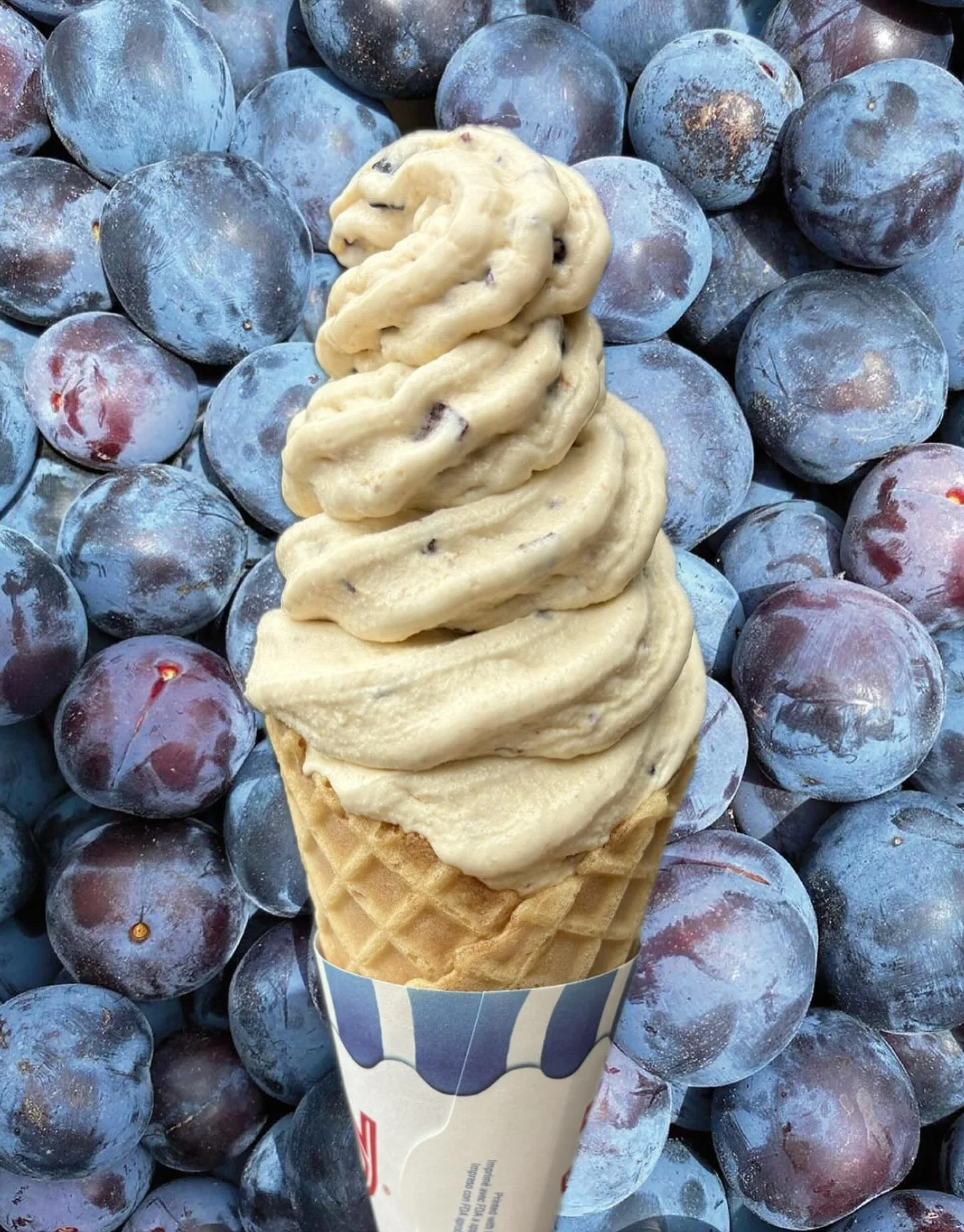 Our newest seasonal is here and it&rsquo;s Plum Delicious 

Featuring Italian plums picked right here in Highland Park, it&rsquo;s creamy and lightly sweet with a little tart bite from the skin. 

#plumicecream #italianplums #realfruiticecream #NZxNW