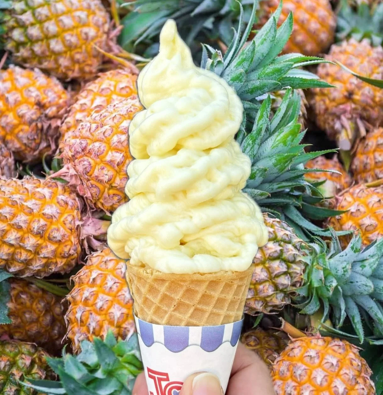 This month&rsquo;s seasonal flavor is Pineapple 🍍

Delicious with sweet cream or our vegan coconut cream (pictured) - swing by for a tropical treat on these sunny May days!
 
#NZxNW #realfruiticecream #pineappleicecream #pineapplecoconut