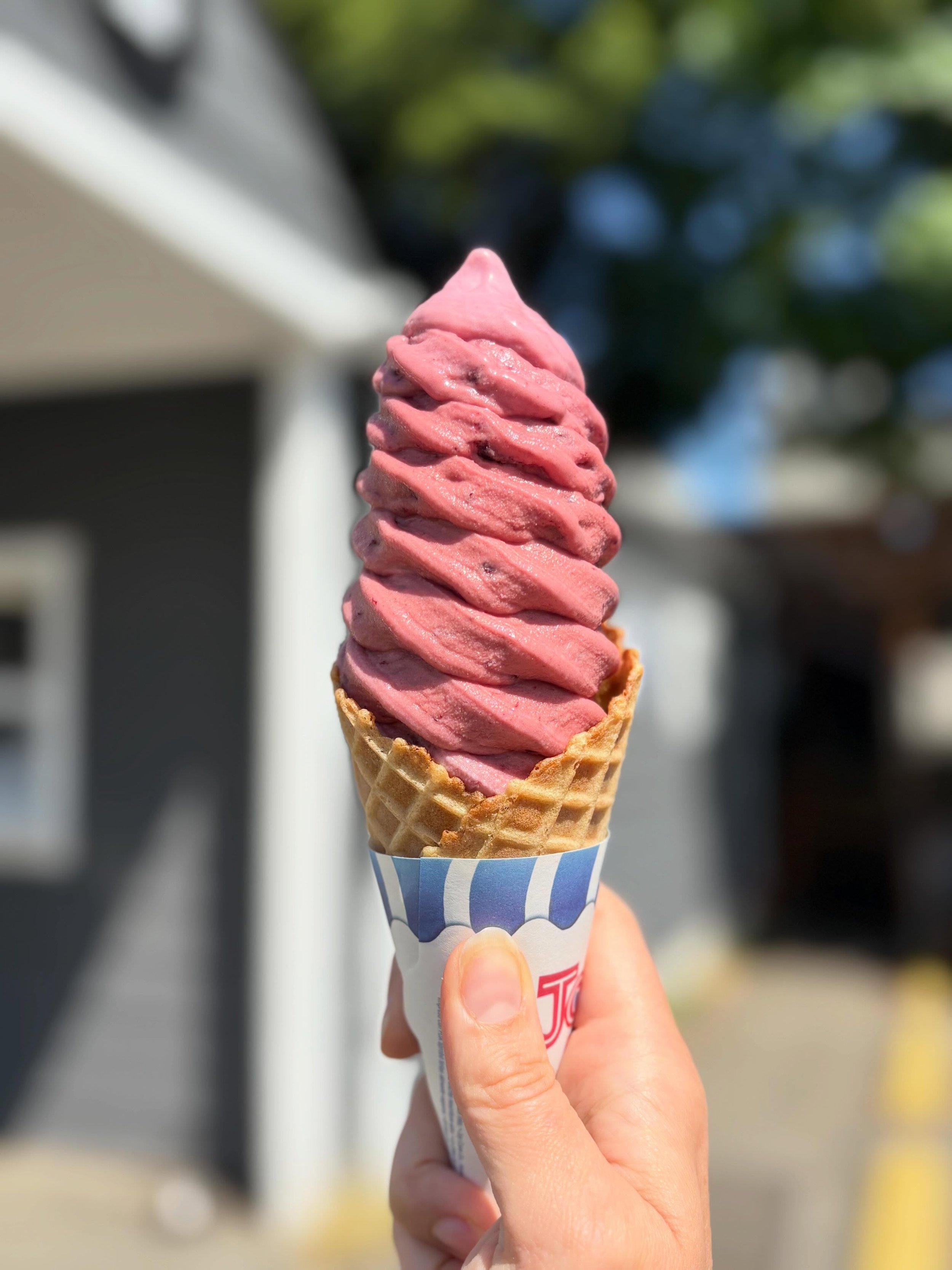 Our current seasonal fruit is 🍒 cherry!

Delicious juicy sweet cherries make this real fruit ice cream flavor a staff favorite. Try it with sweet cream, coconut cream [pictured] or chocolate! 

#realfruiticecream #NZxNW #cherryicecream #🍒