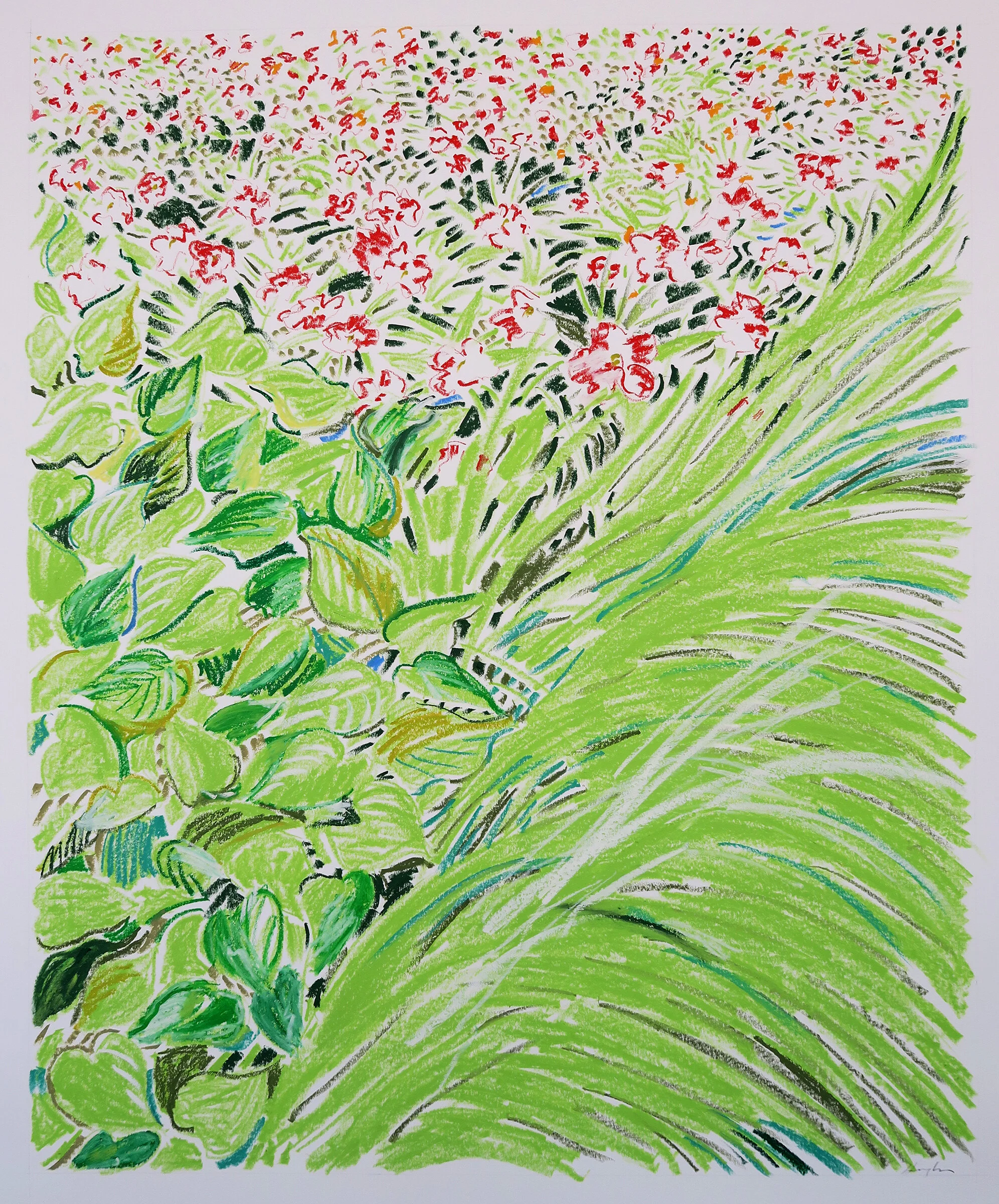 MH_DallasGarden_oilpastelonpaper_50x40inches_2017.jpg