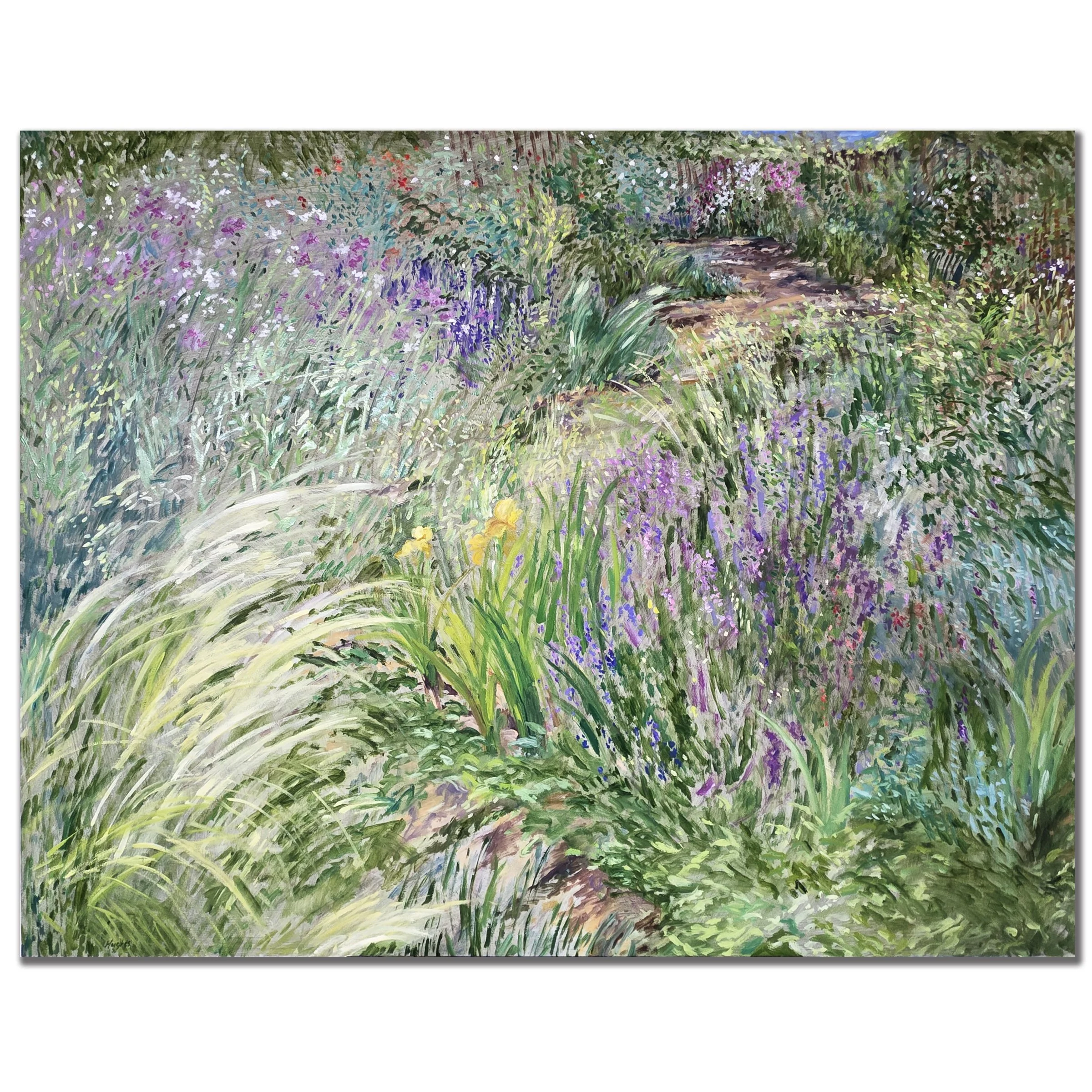 Garden on Agua Fria