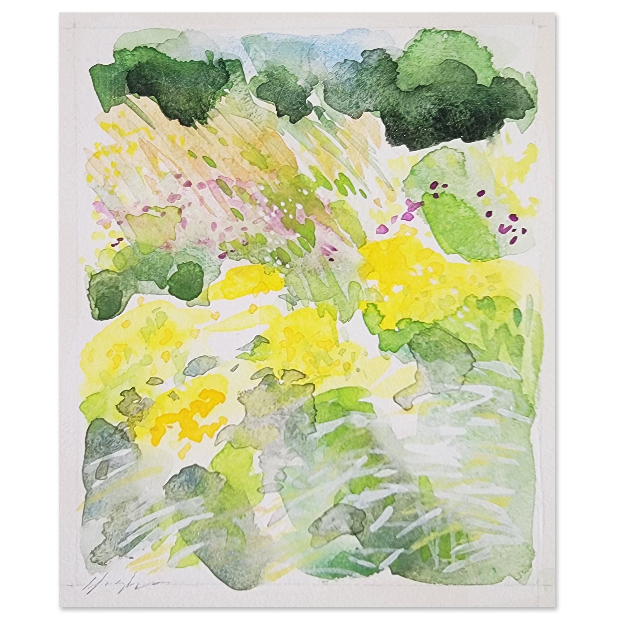 Garden Landscape