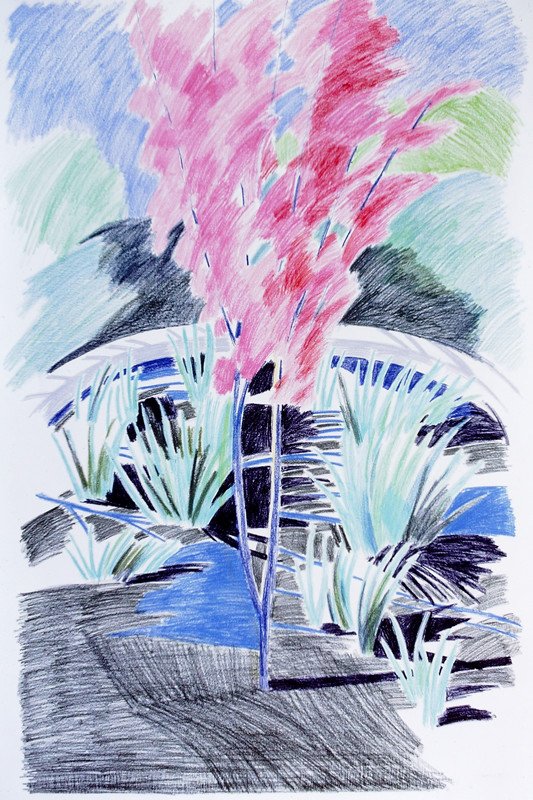 0359 Redbud and Iris.jpg