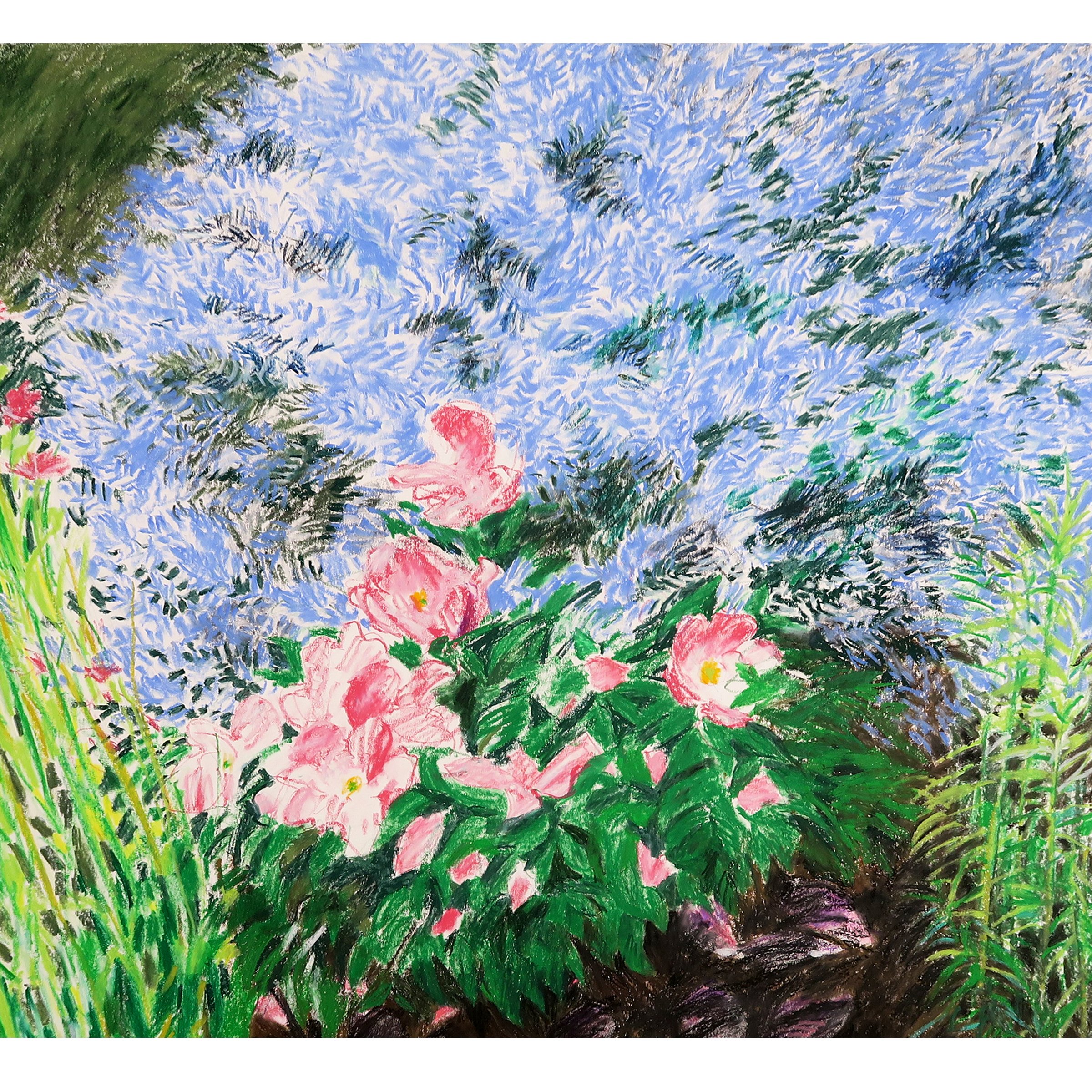 Blue Spruce and Roses, Denver