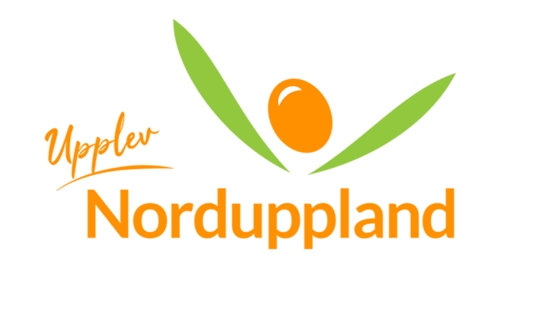 Föreläsning för aktörer inom besöknäringen om hur man kan använda AI i sin verksamhet. I uppdrag av Upplev Norduppland