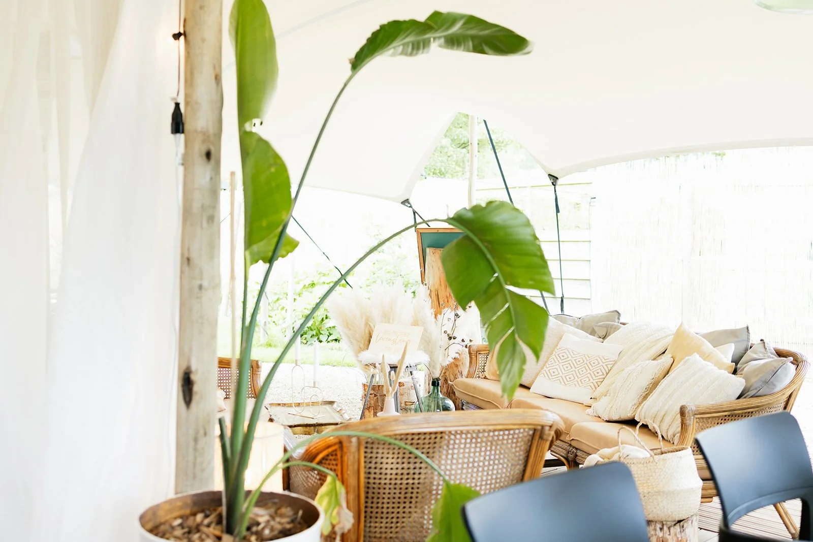 Studio Content - t Veldt-16.jpg