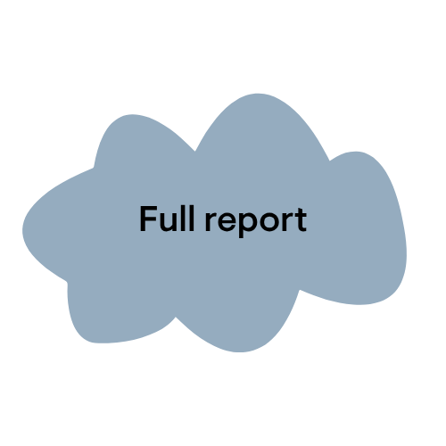 Sustainability report 2025