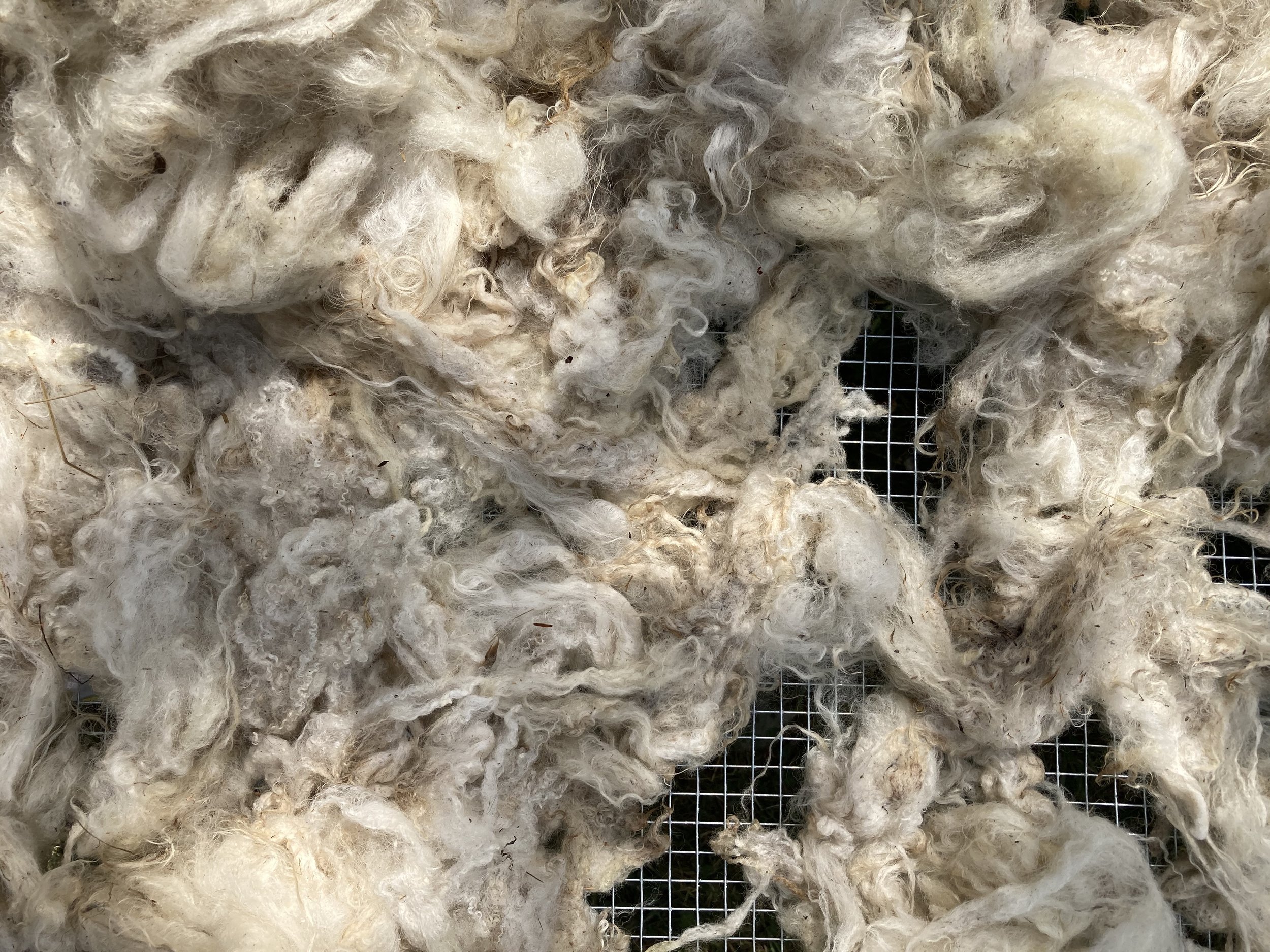 Know Your Wool (KYW): Where does our wool come from?