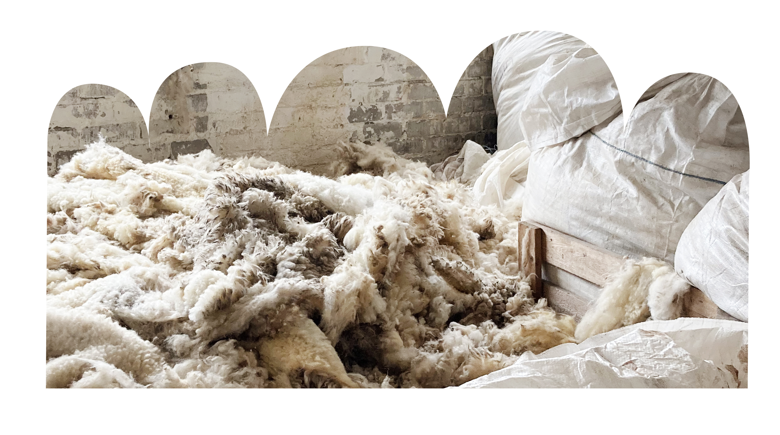 waste wool