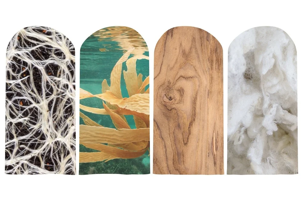 View of What are sustainable packaging materials? (+ Top 4 examples) | Woola