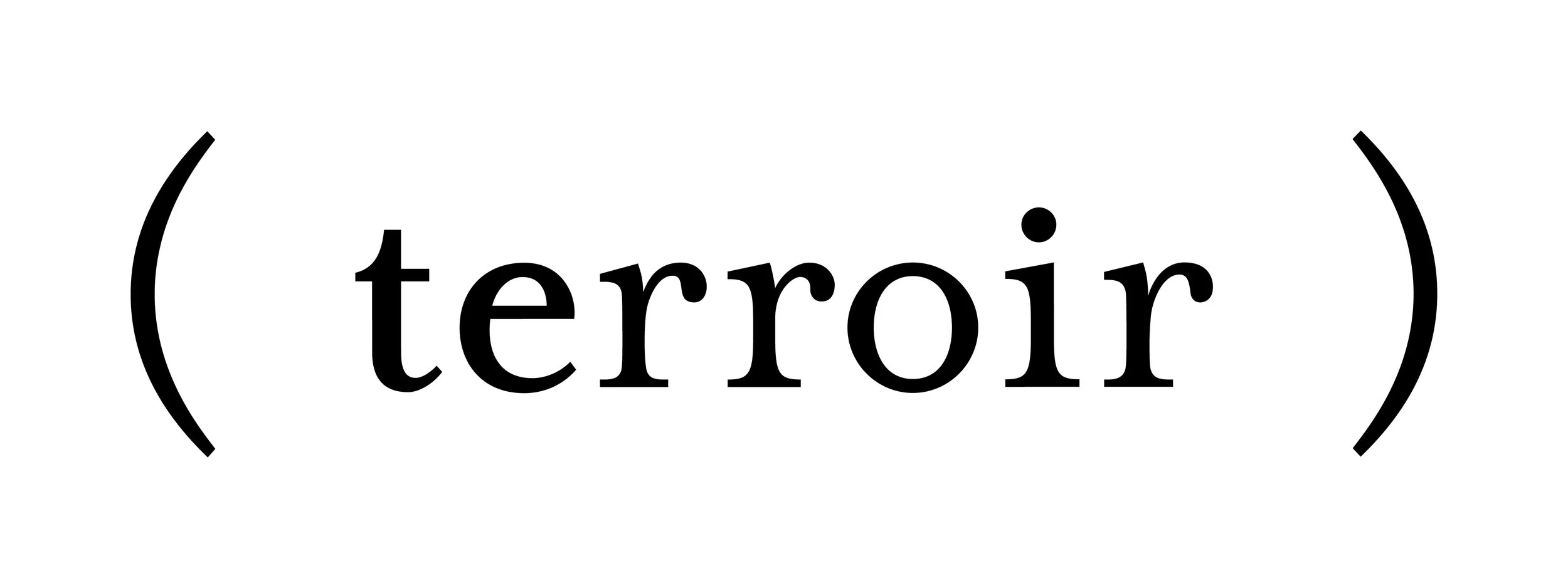 藍染ブランド( terroir )をリリースします 23/3/19
