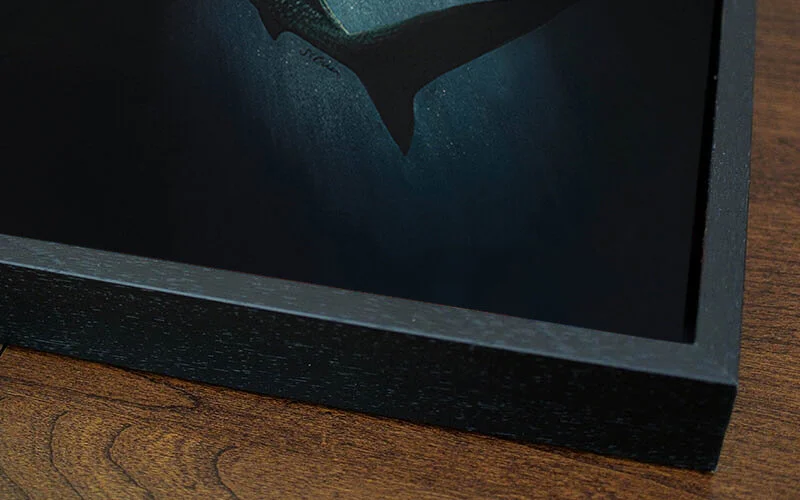 Whale Shark Canvas.jpeg