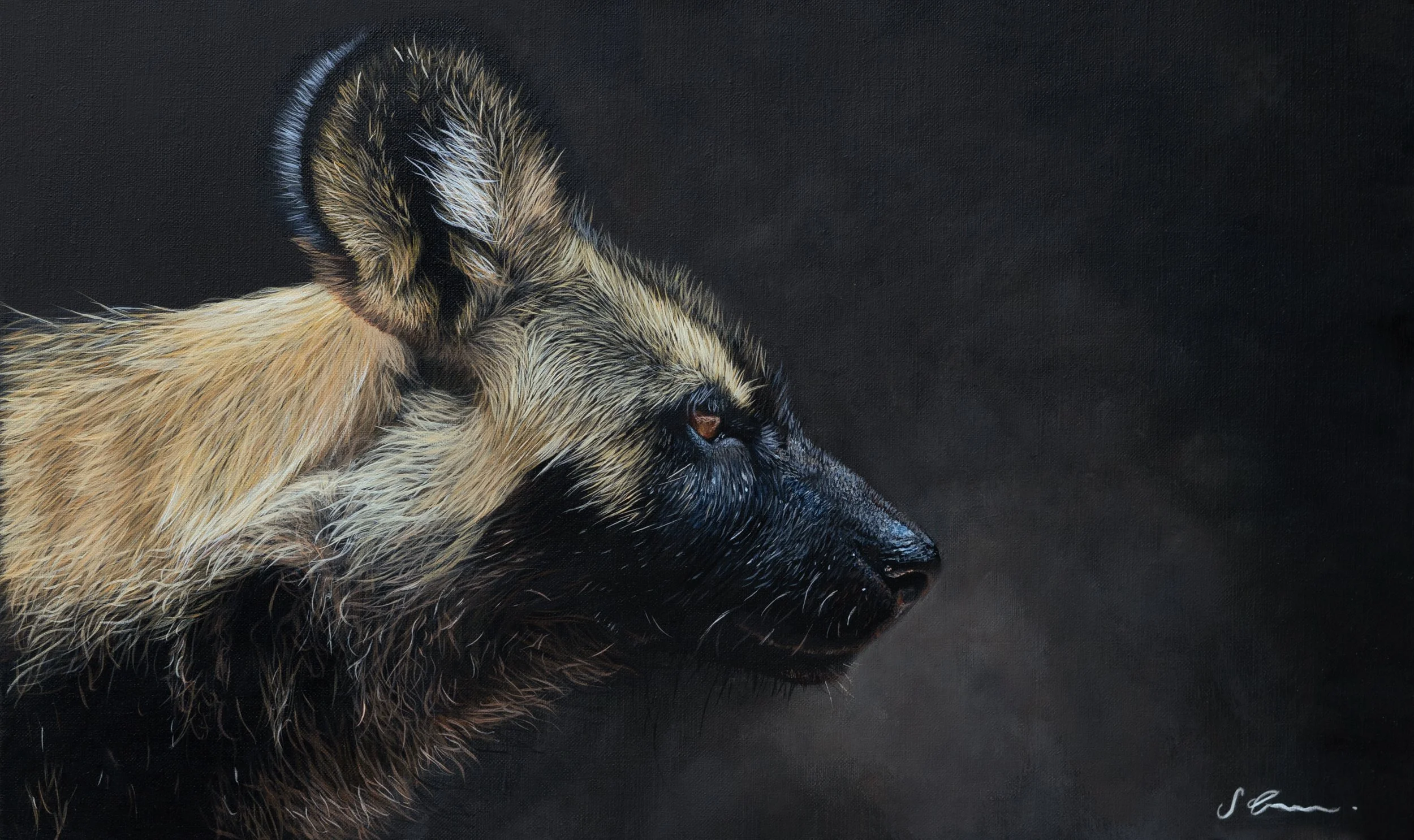 African wild dog print by artist sophie green