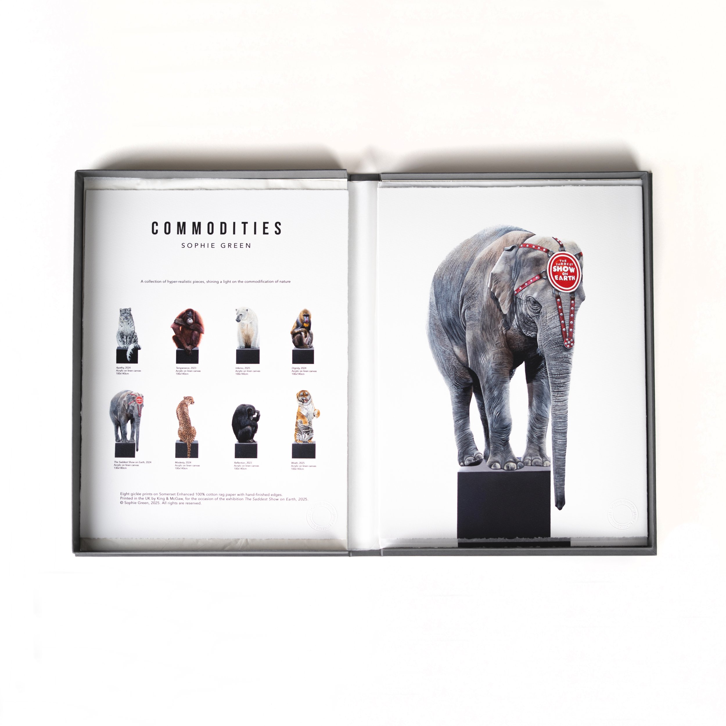 Portfolio-4.jpg