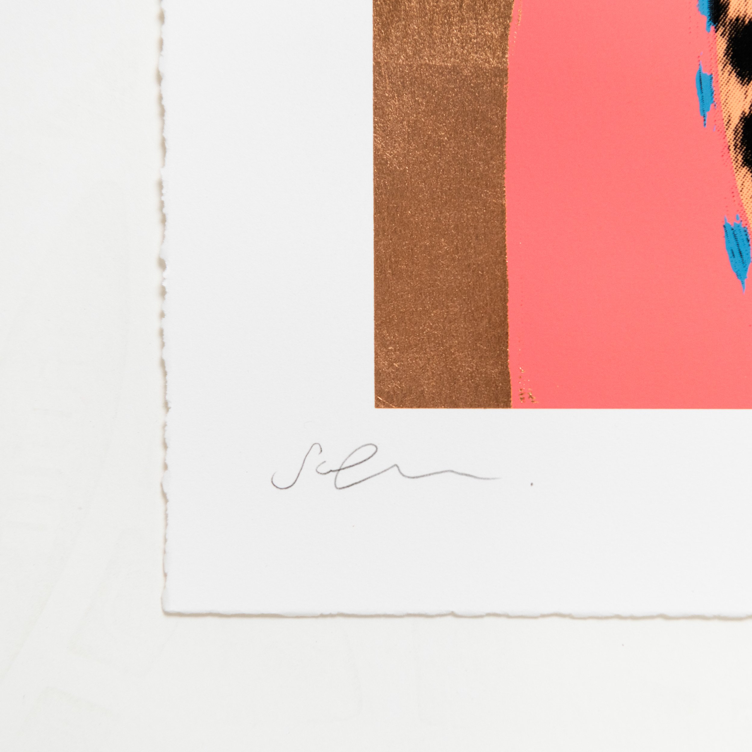 Cheetah screen print by contemporary artist Sophie Green