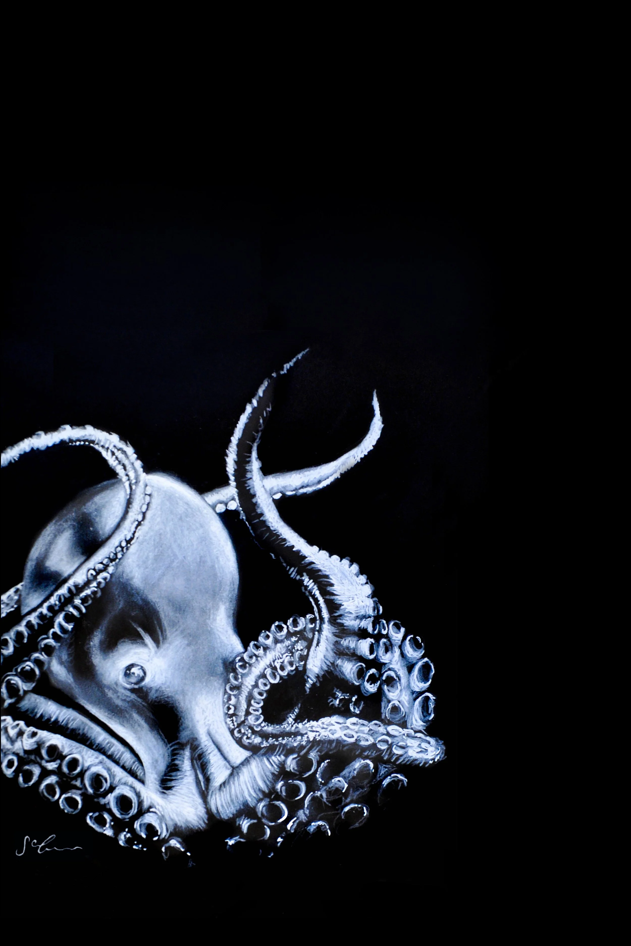 Black Octopus.jpg
