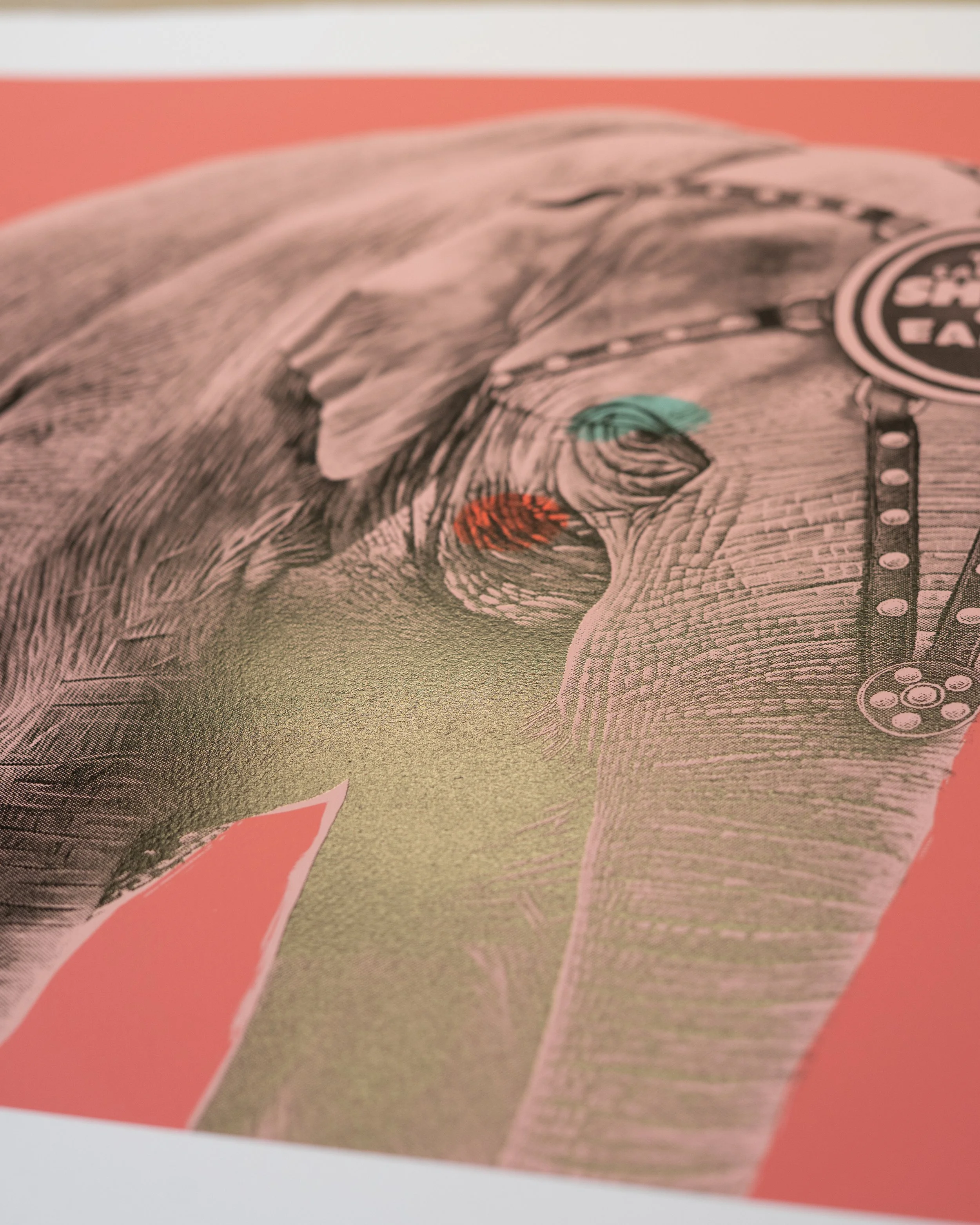 Elephant screen print by contemporary artist Sophie Green