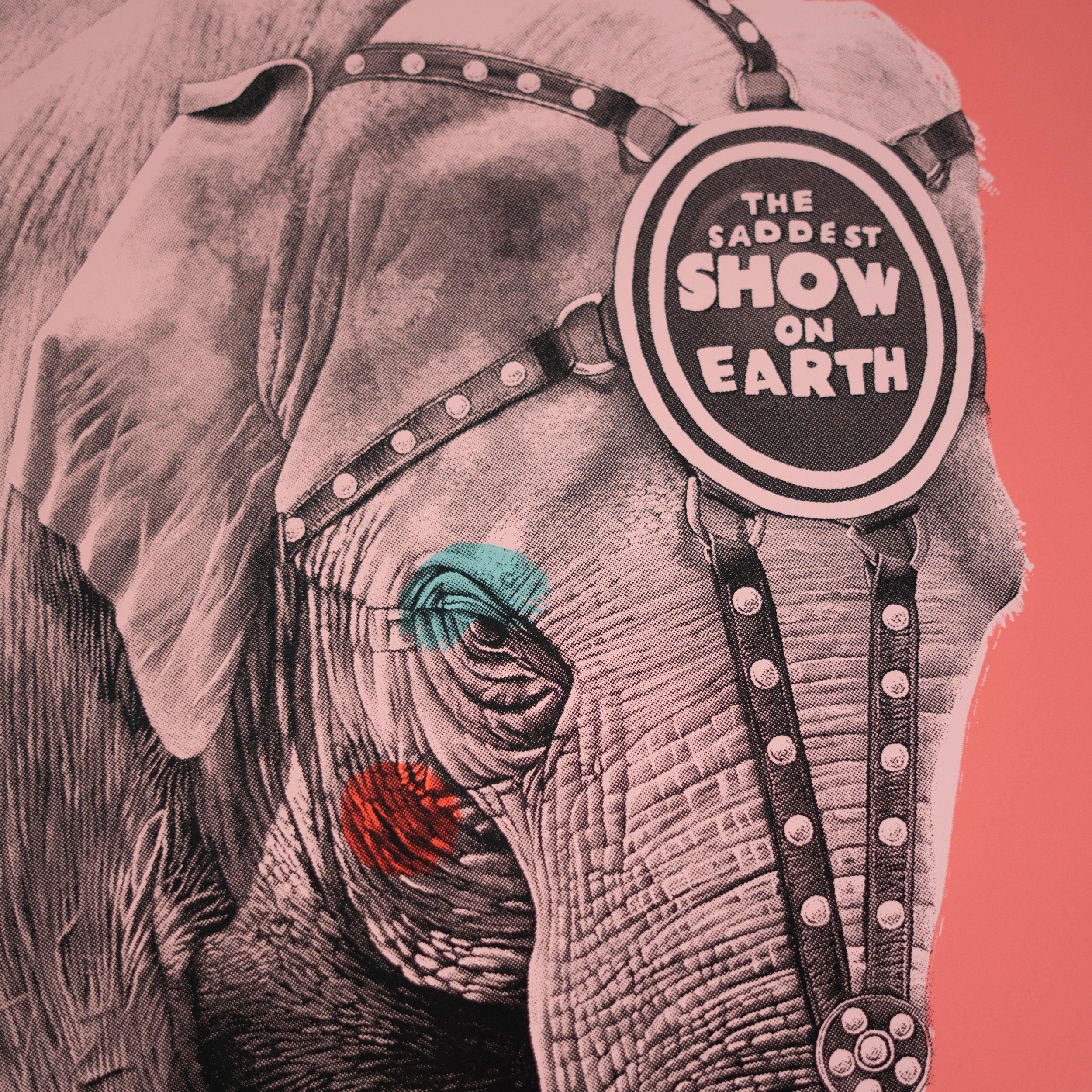 Elephant screen print by contemporary artist Sophie Green