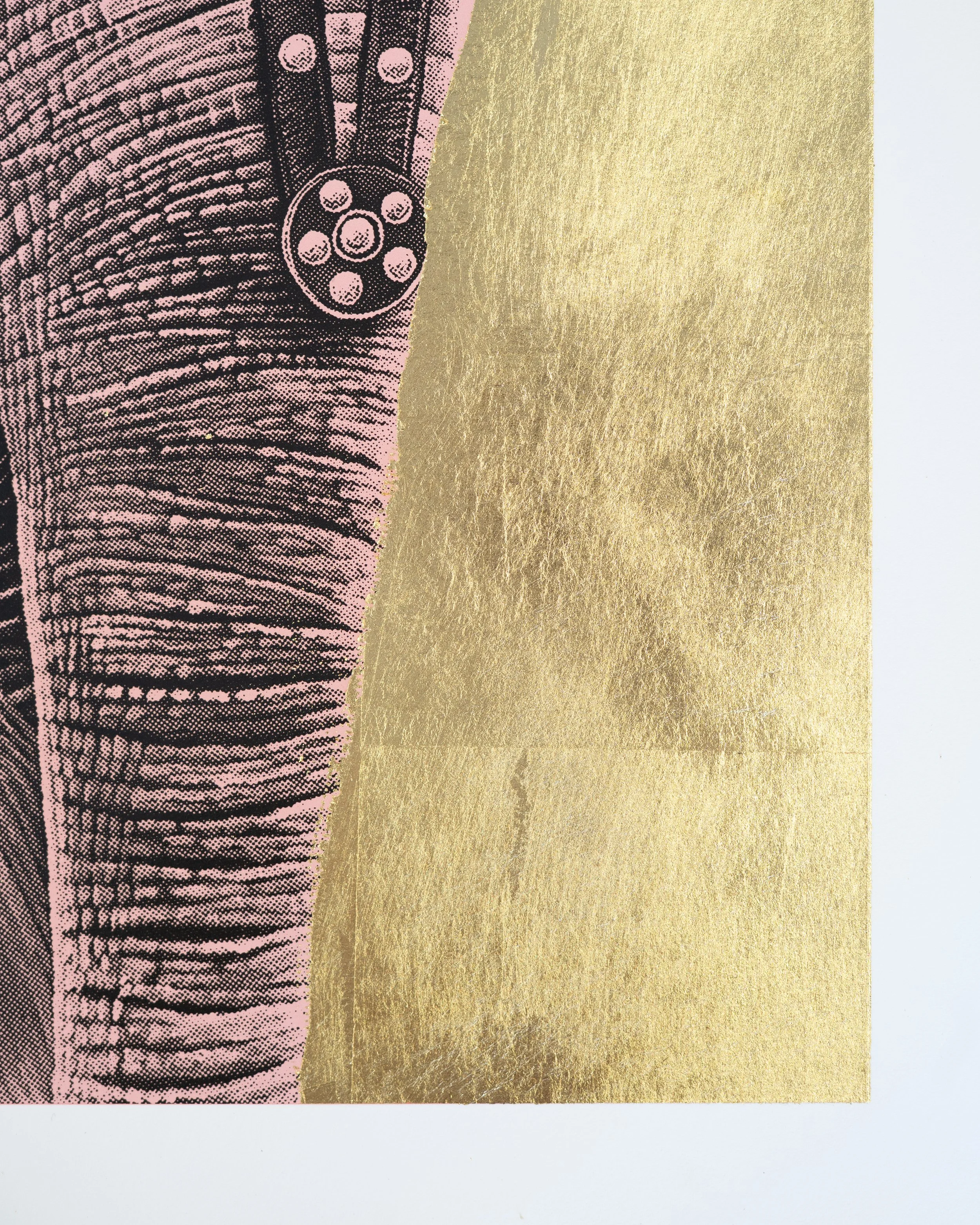 Elephant screen print by contemporary artist Sophie Green