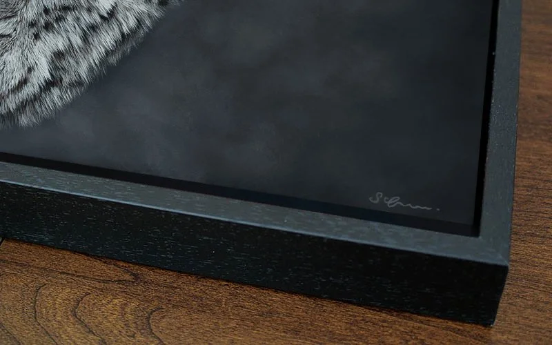 Show Leopard Canvas.jpg (Copy)