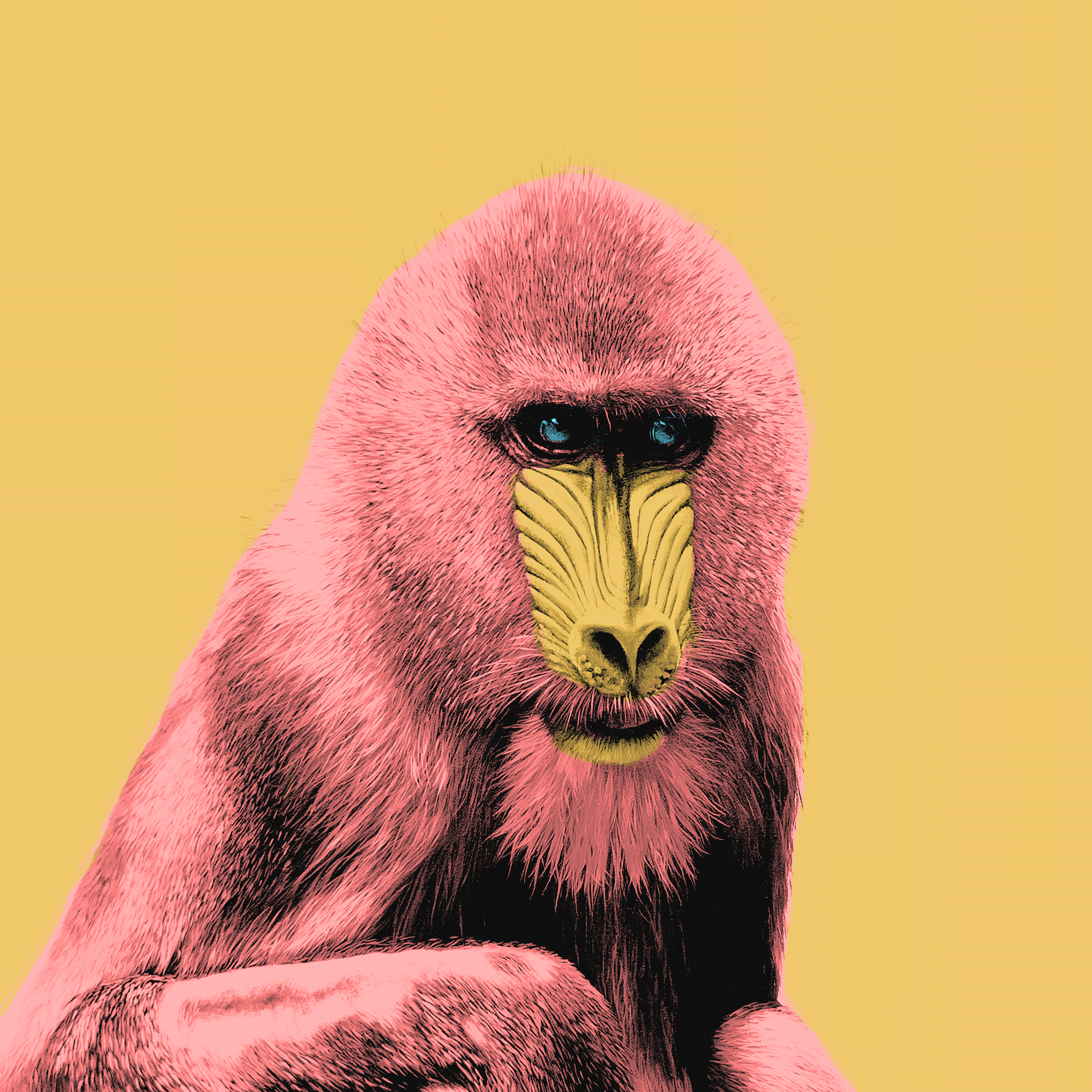 Mandrill.png