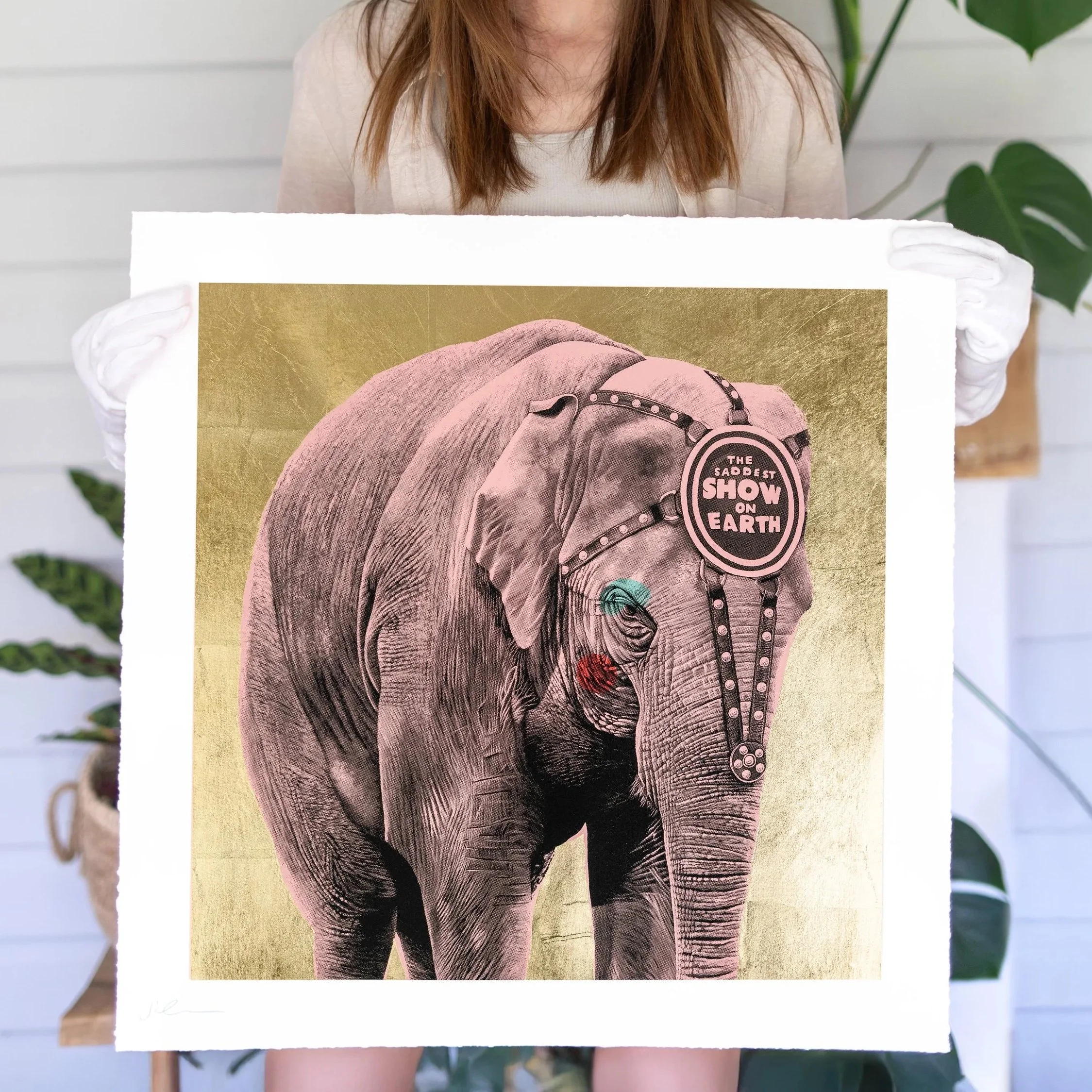 Elephant screen print by contemporary artist Sophie Green