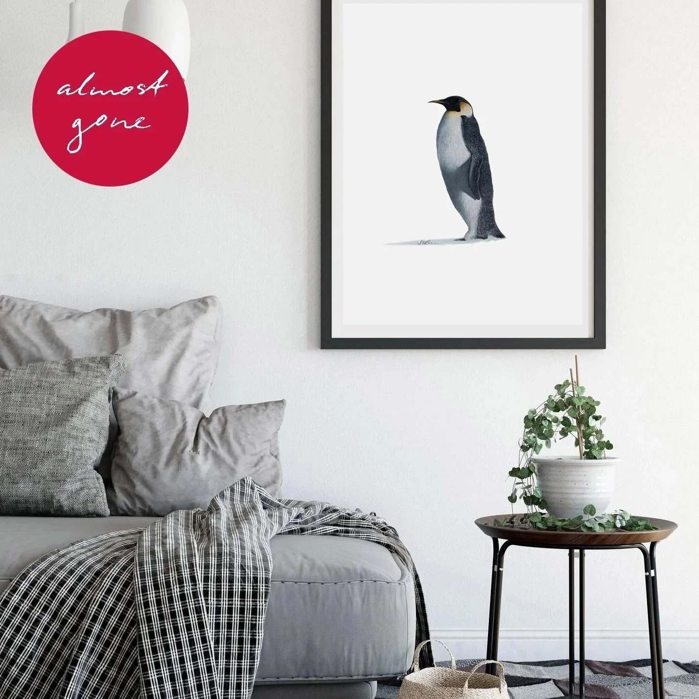 ’Solitary Penguin’ Giclée