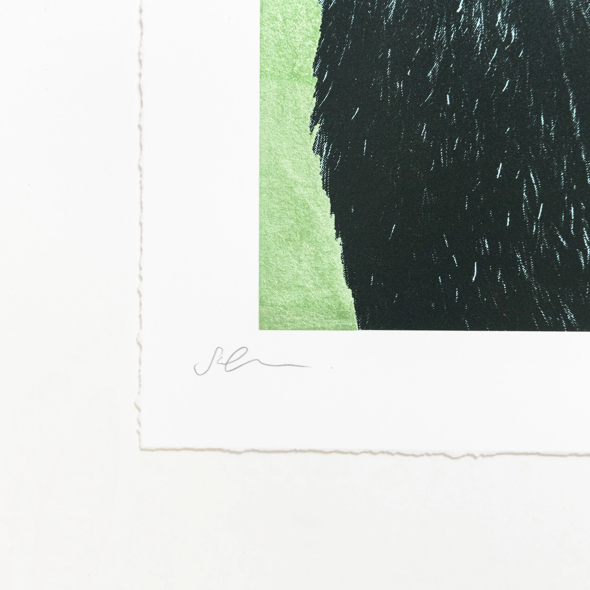 Chimpanzee screen print by contemporary artist sophie green