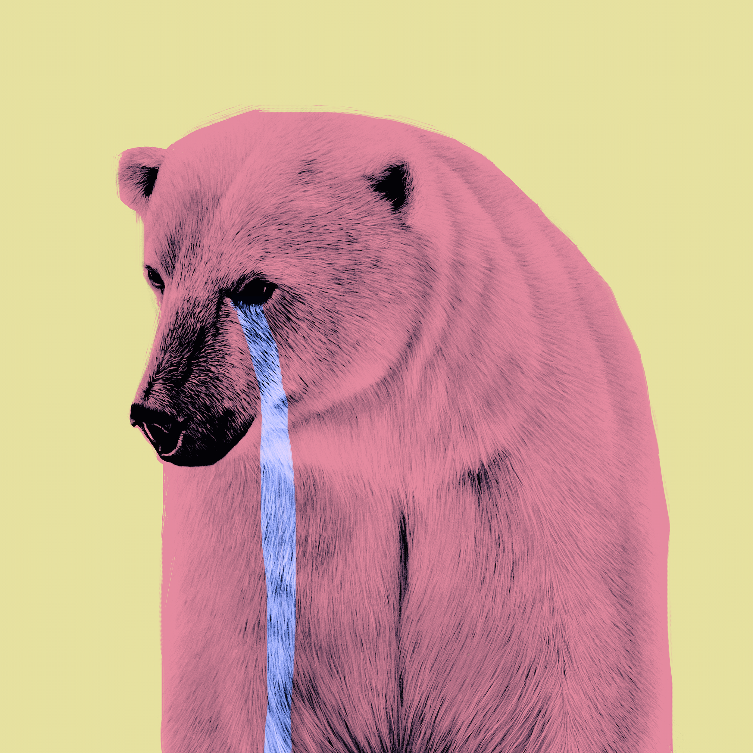 Polar Bear Small.png
