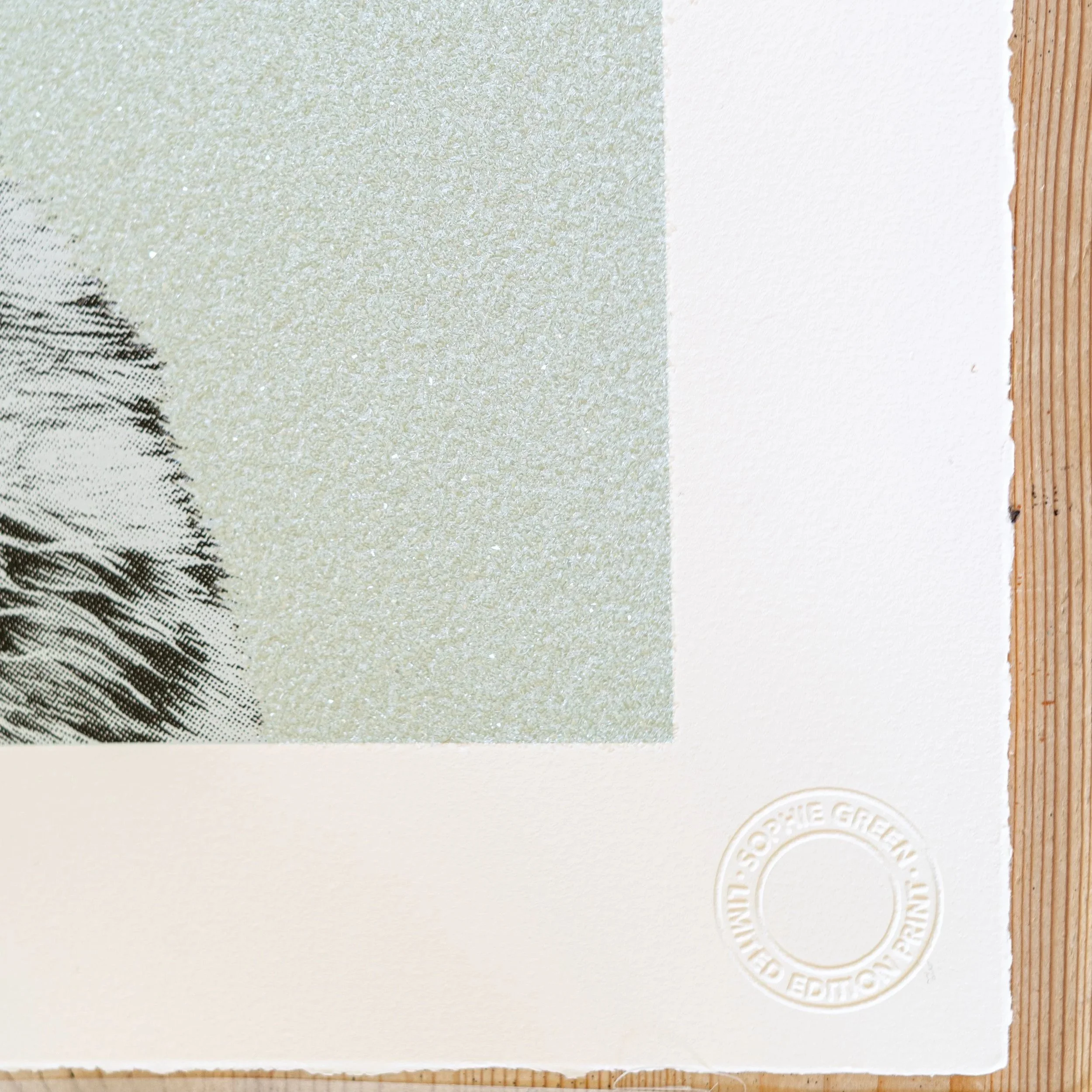 Snow leopard screen print by sophie green