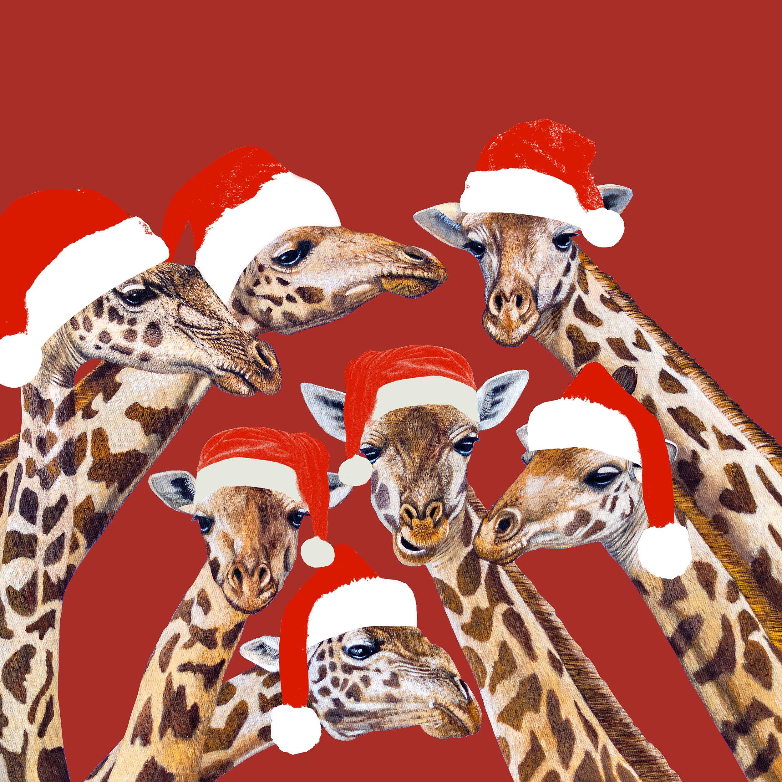Christmas Cards 2026.png