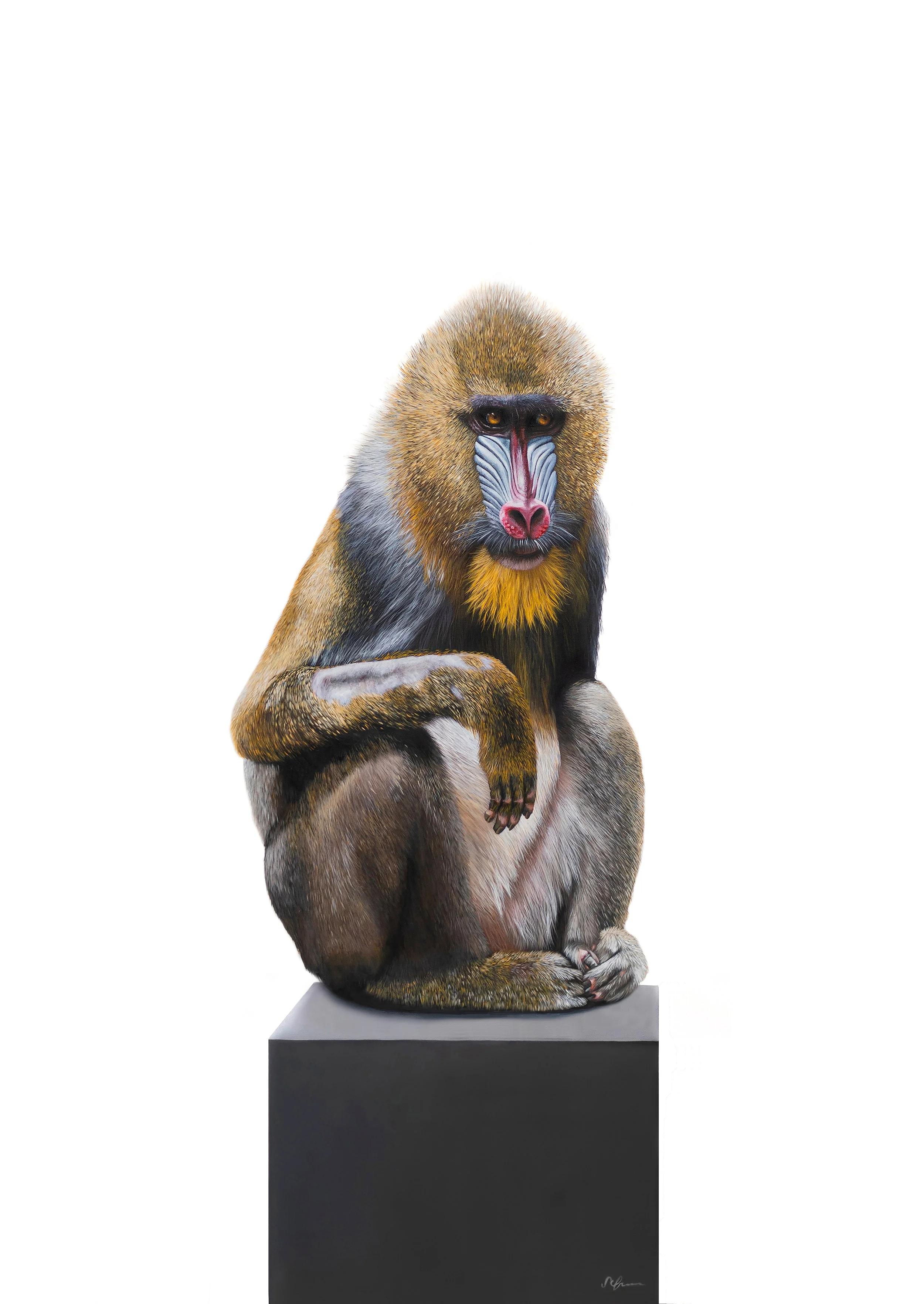 Dignity mandrill painting by contemporary artist Sophie Green