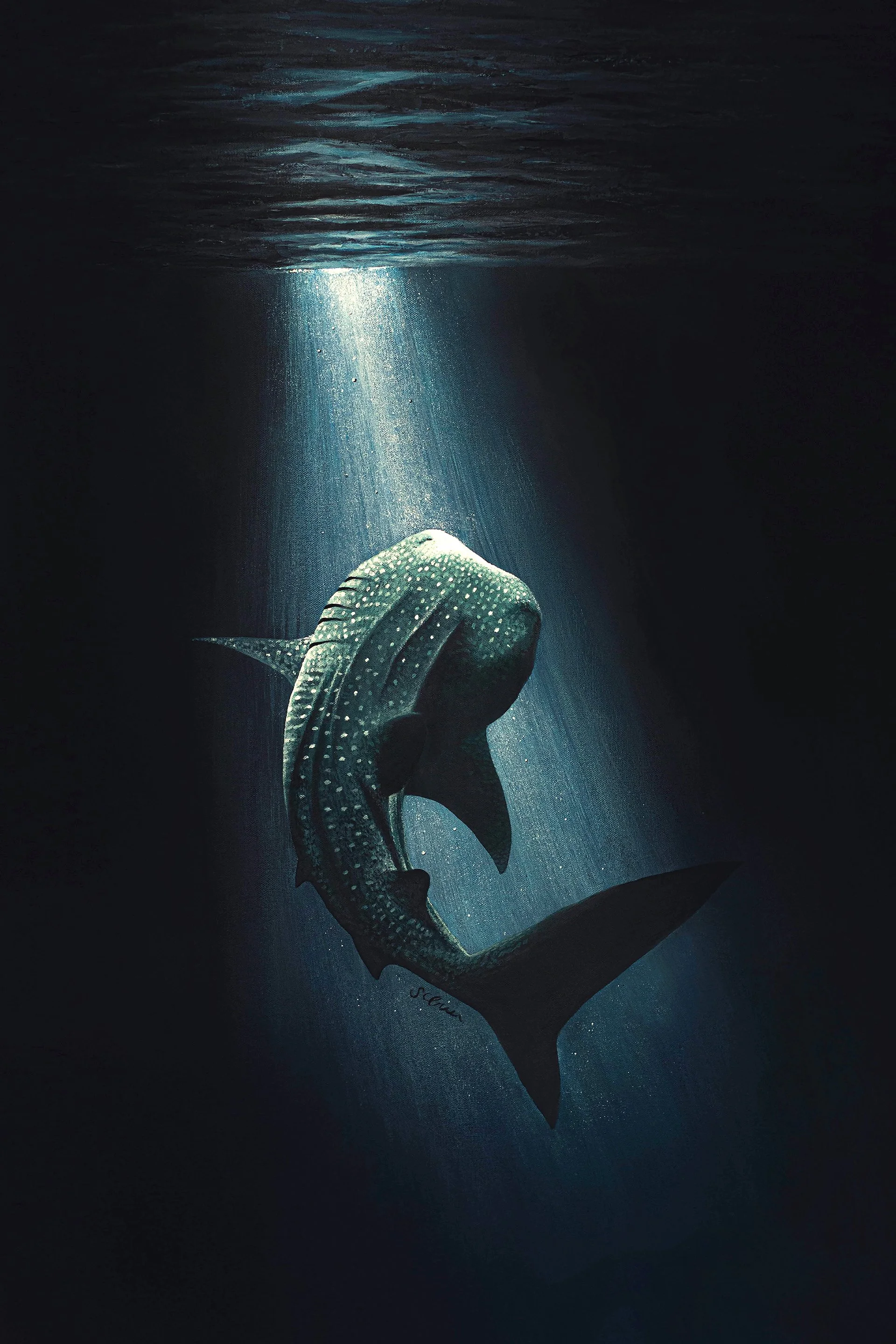 Whale Shark print by artist sophie green