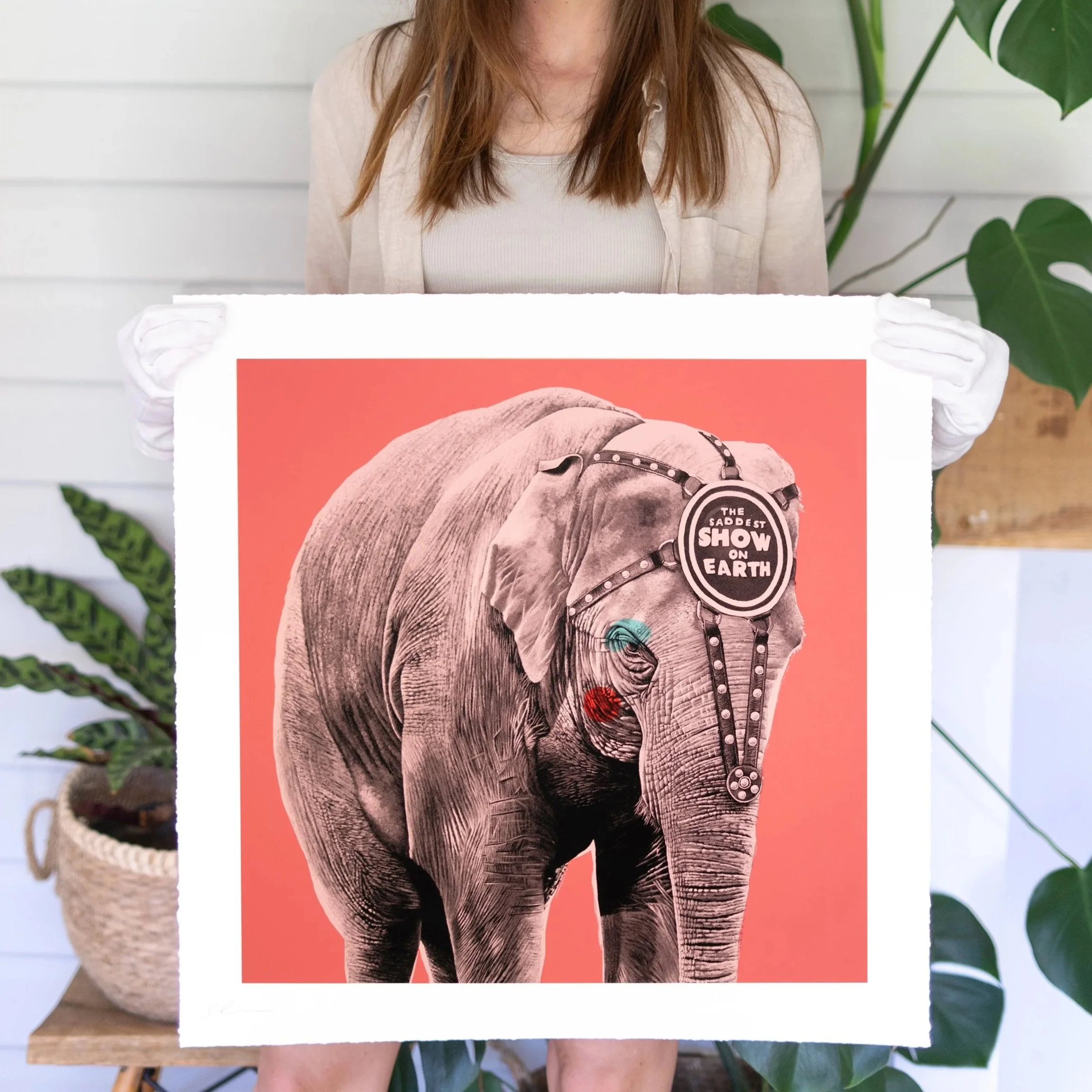 Elephant screen print by contemporary artist Sophie Green