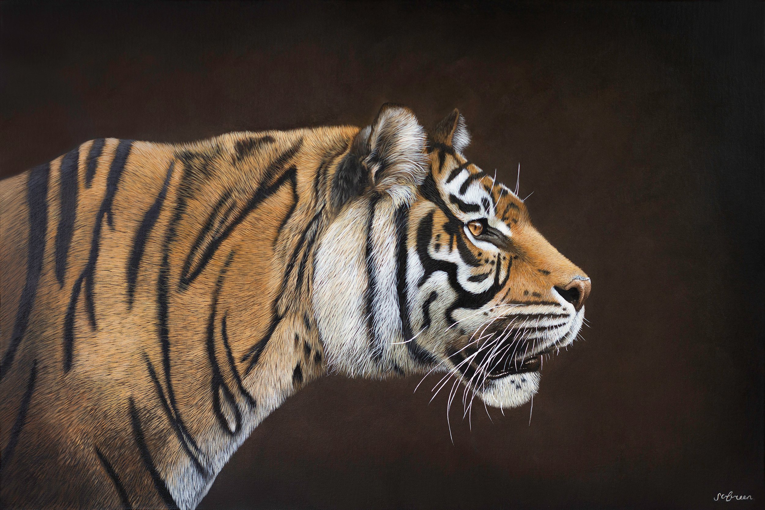 Tiger print by artist Sophie Green