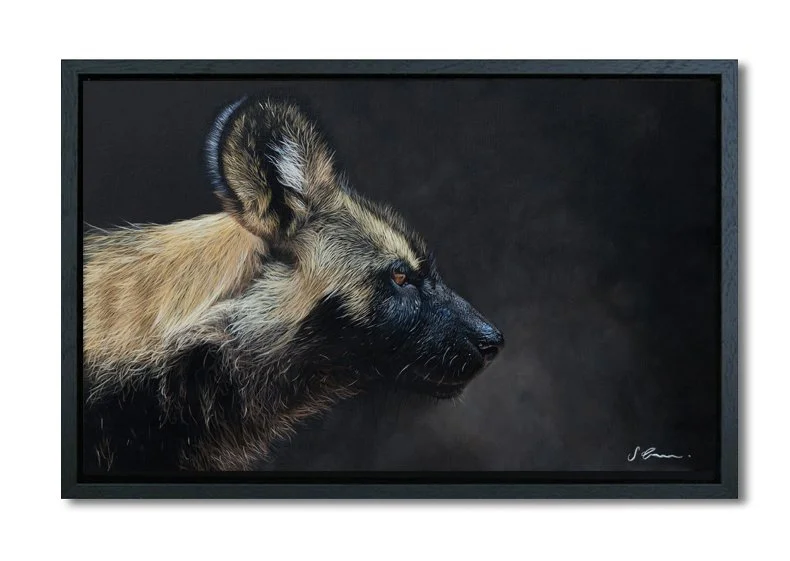 African wild dog print by artist sophie green