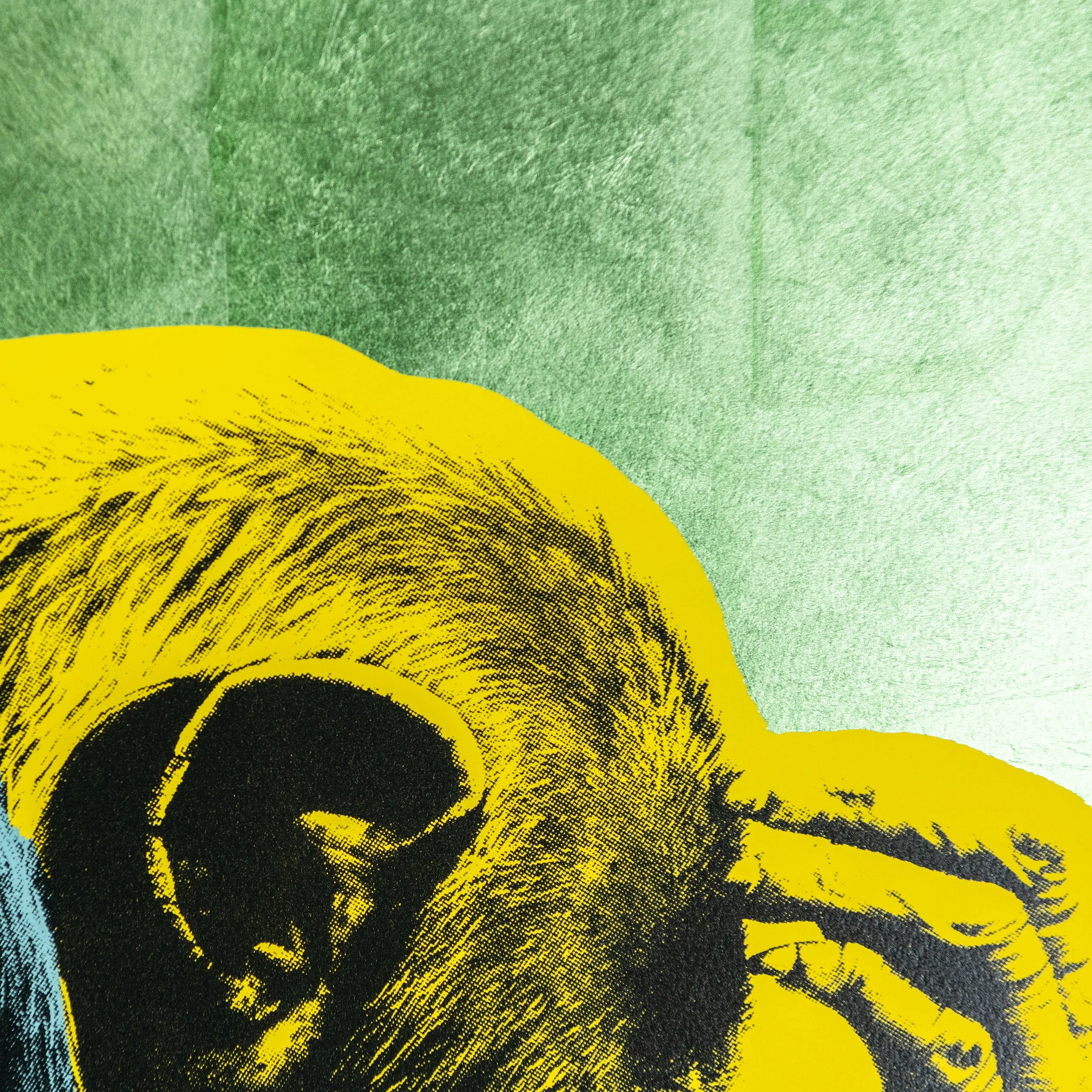 Chimpanzee screen print by contemporary artist sophie green