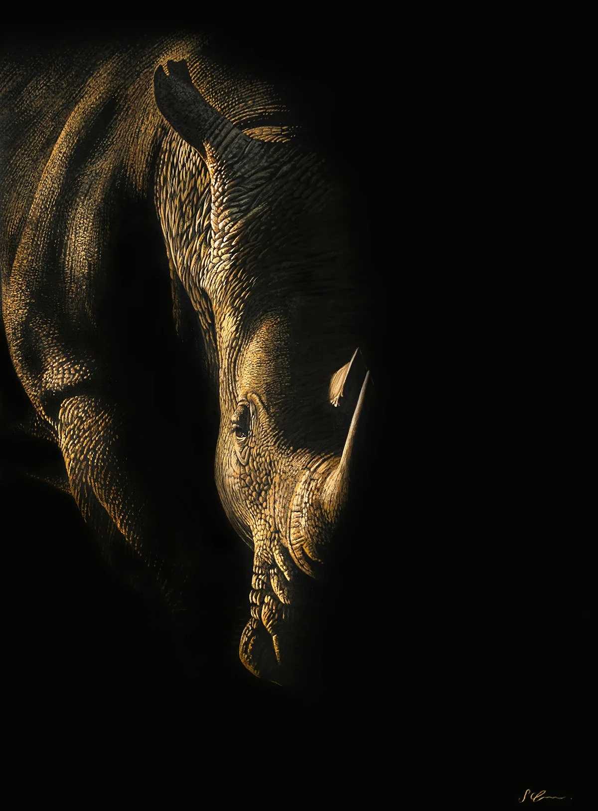 Rhinoceros.jpg