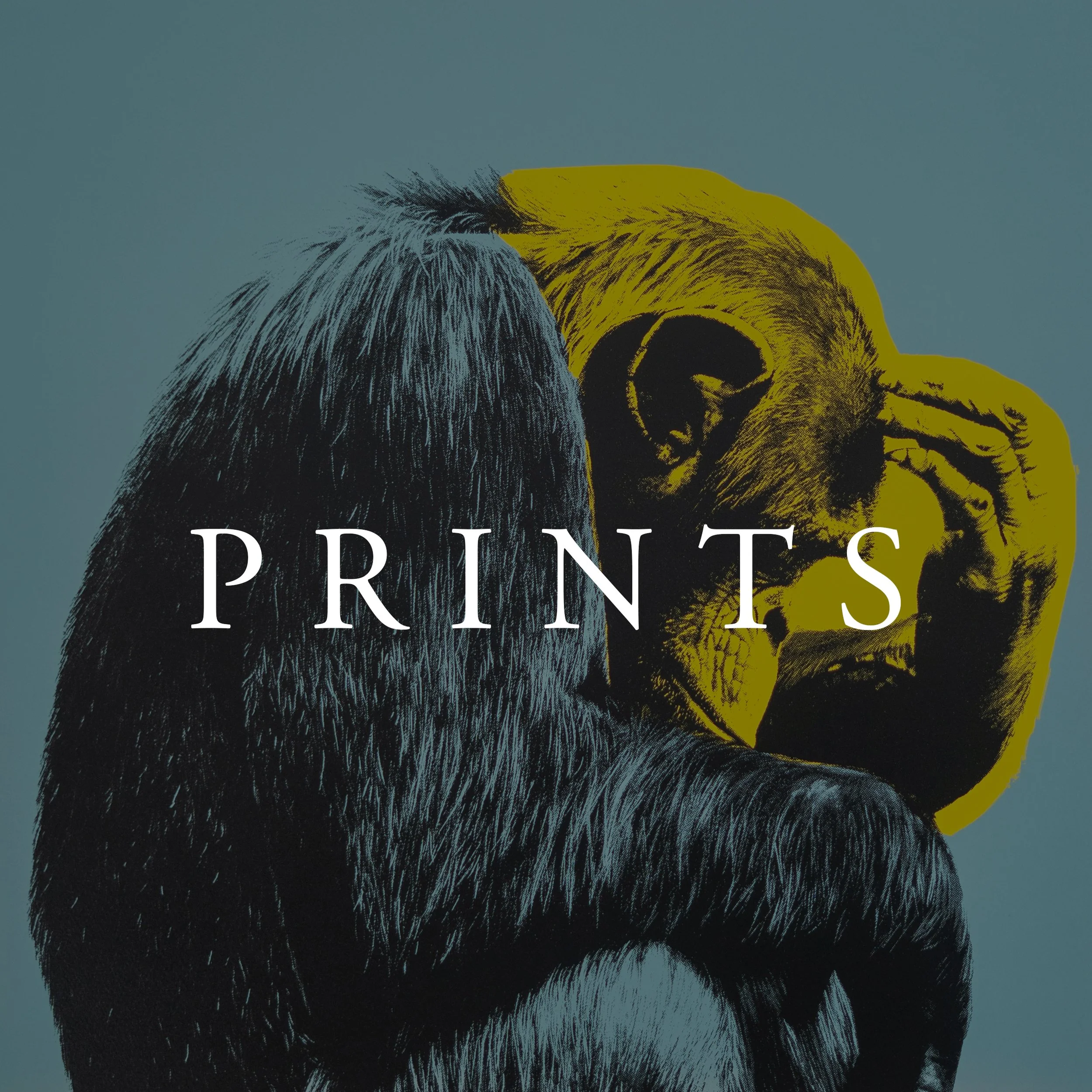 Prints.jpg