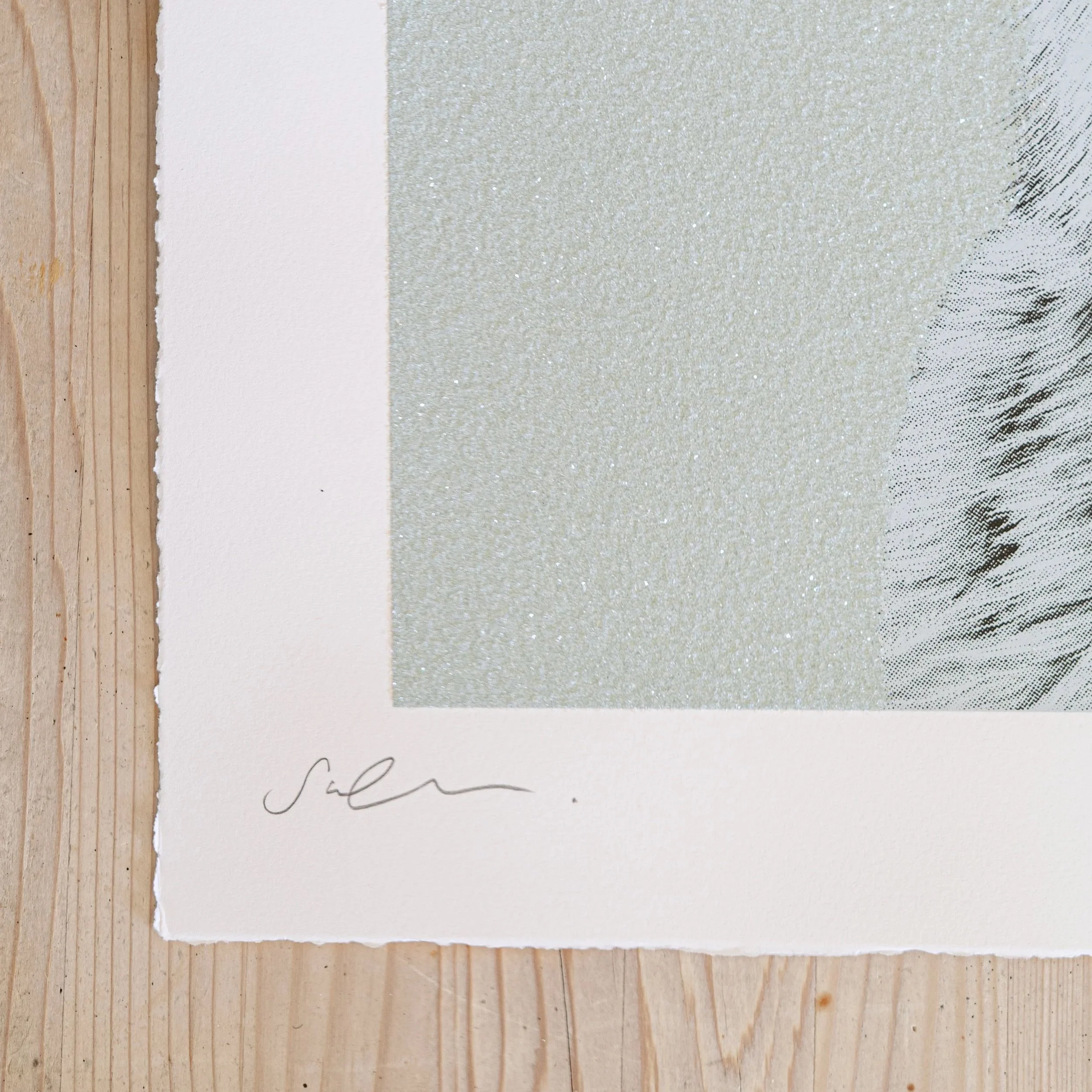 Snow leopard screen print by sophie green