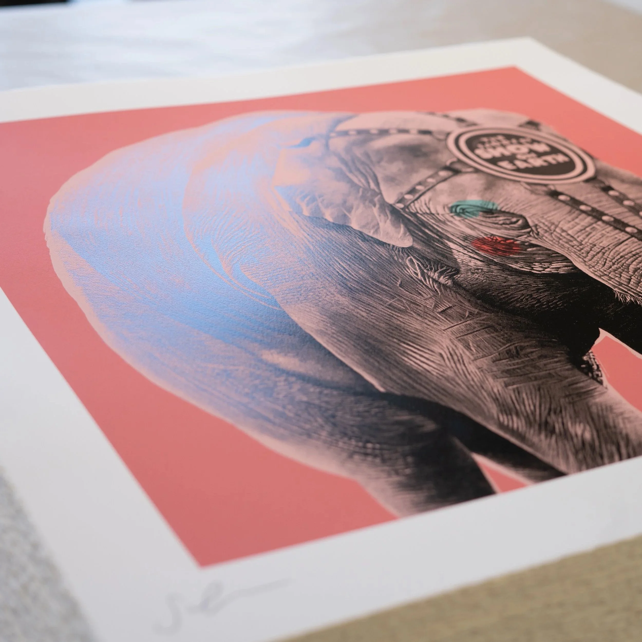 Elephant screen print by contemporary artist Sophie Green