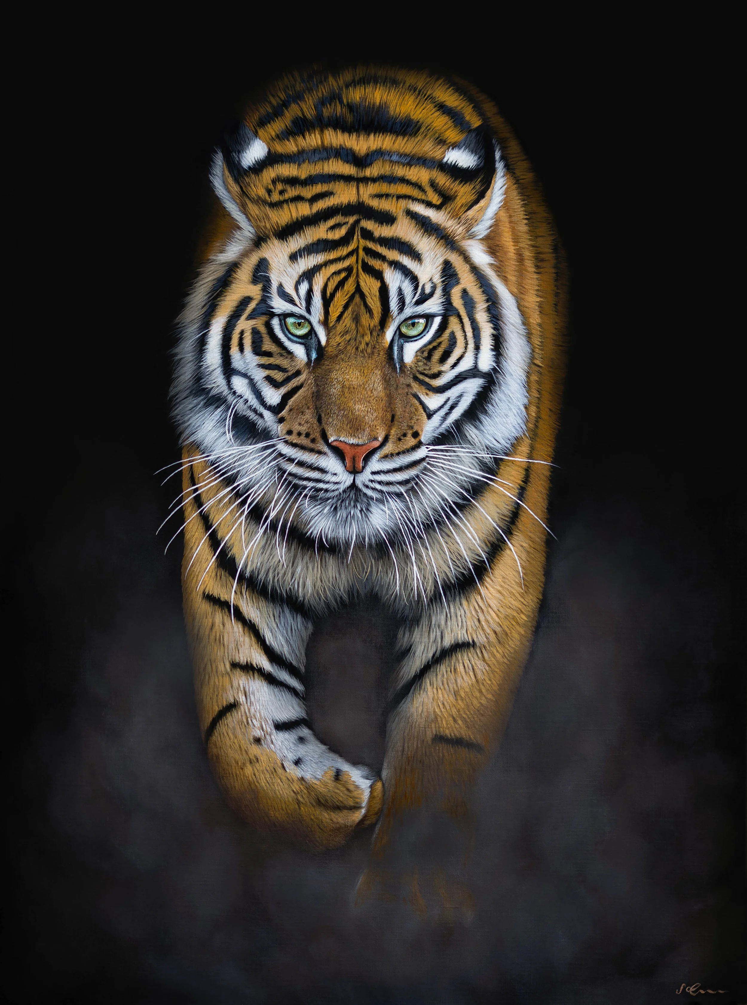 Tiger SMALL.jpg