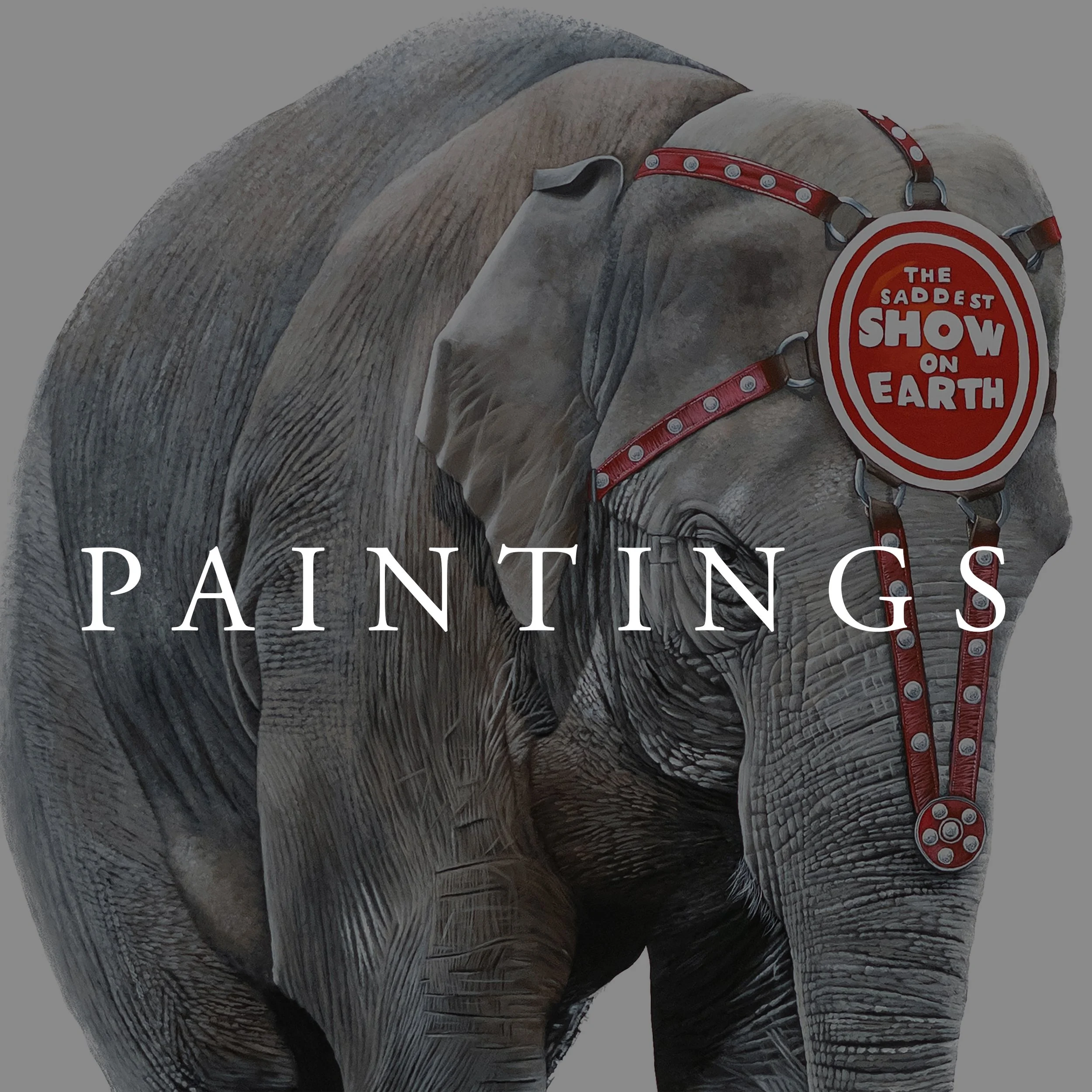 Paintings.jpg