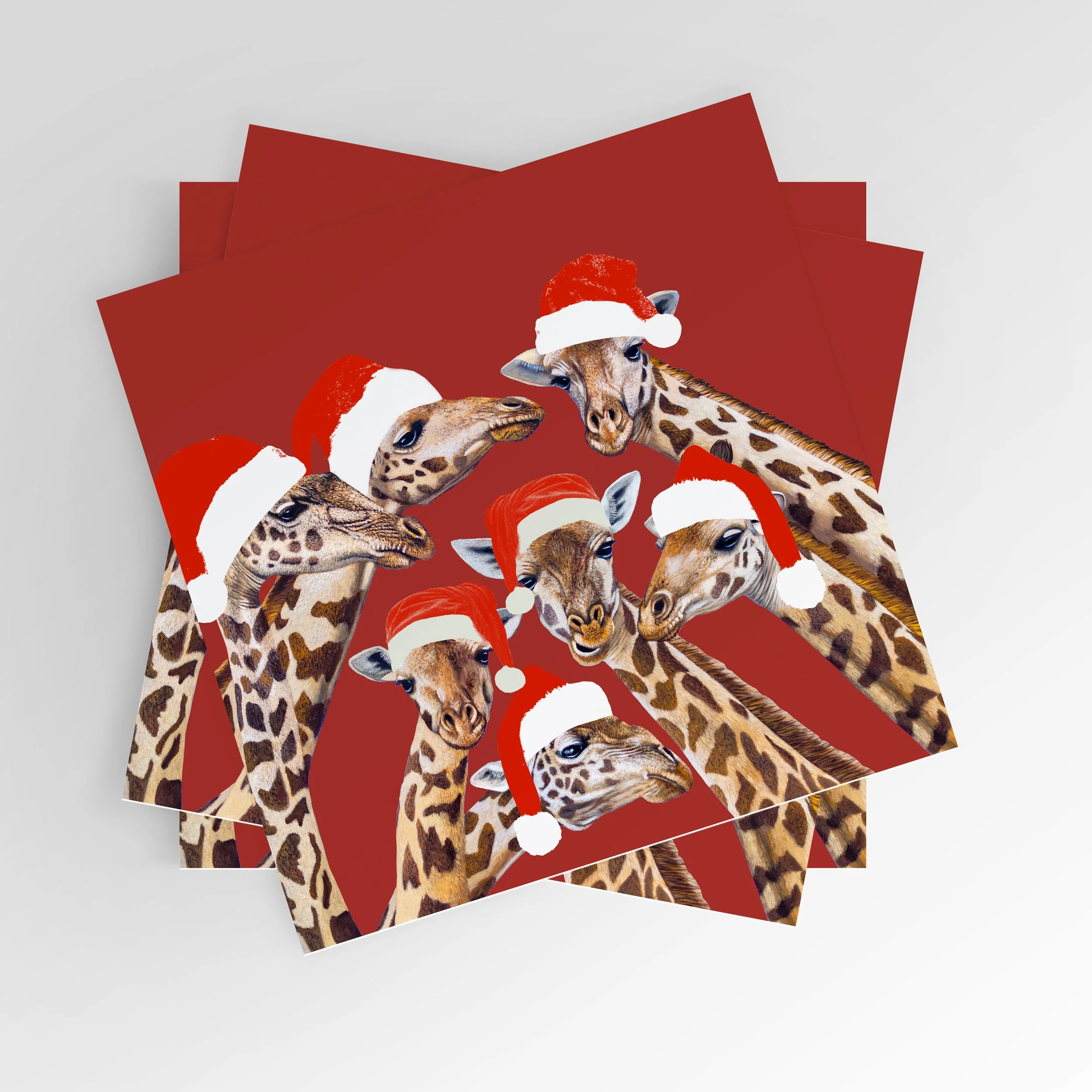 Christmas Cards 2026 3.jpg