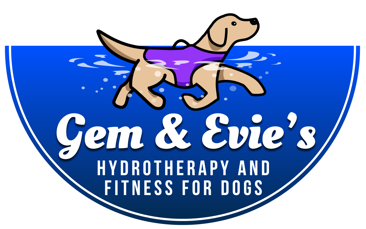 Gem &amp; Evie&#39;s Hydrotherapy for dogs in Surrey