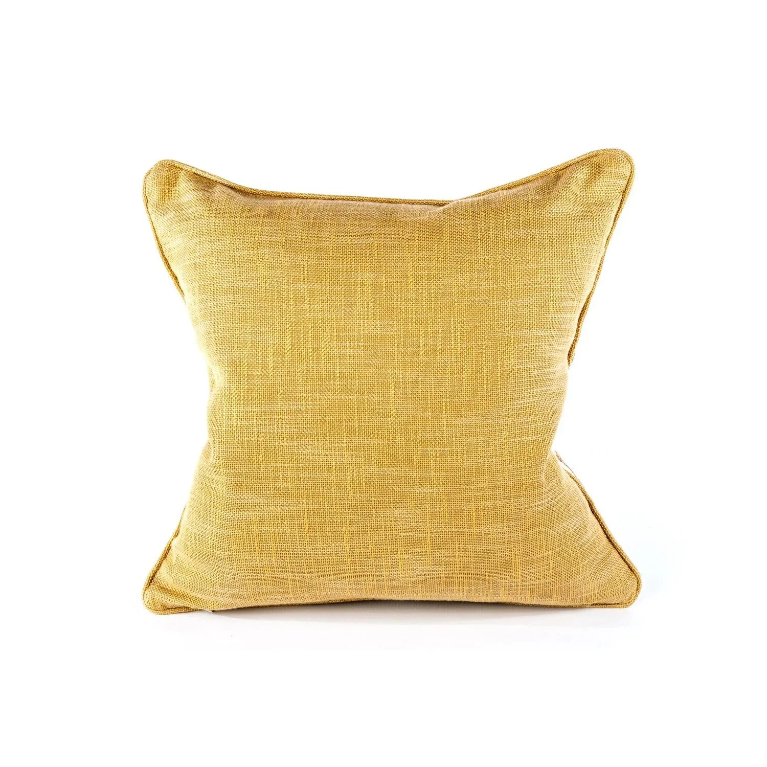 Cactus Paisley square cushion, plain gold back